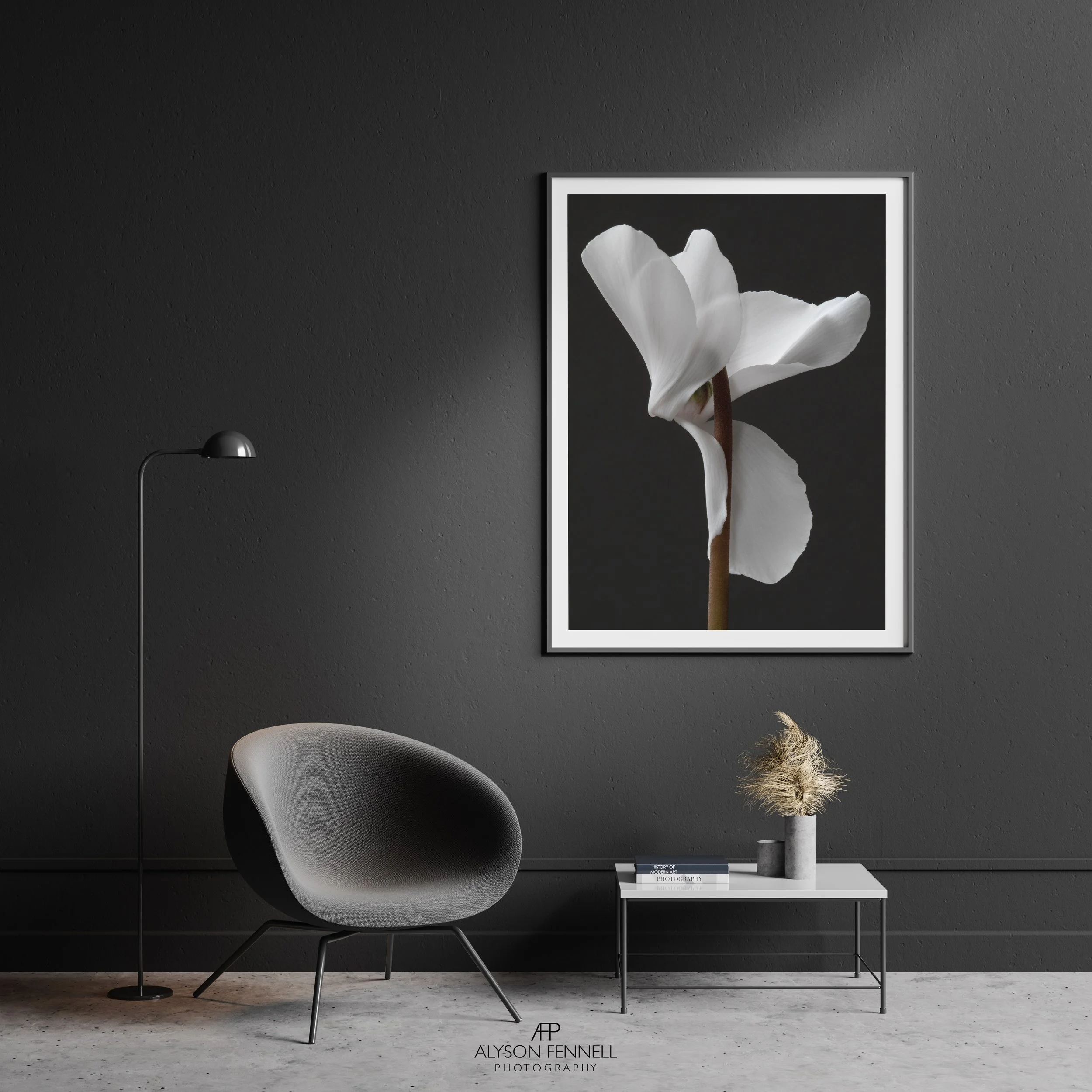 White Cyclamen Framed Print