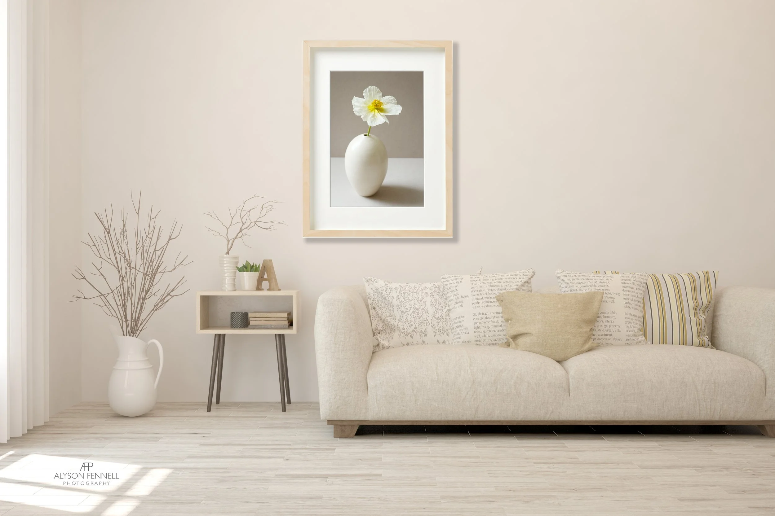 Icelandic Poppy Framed Print