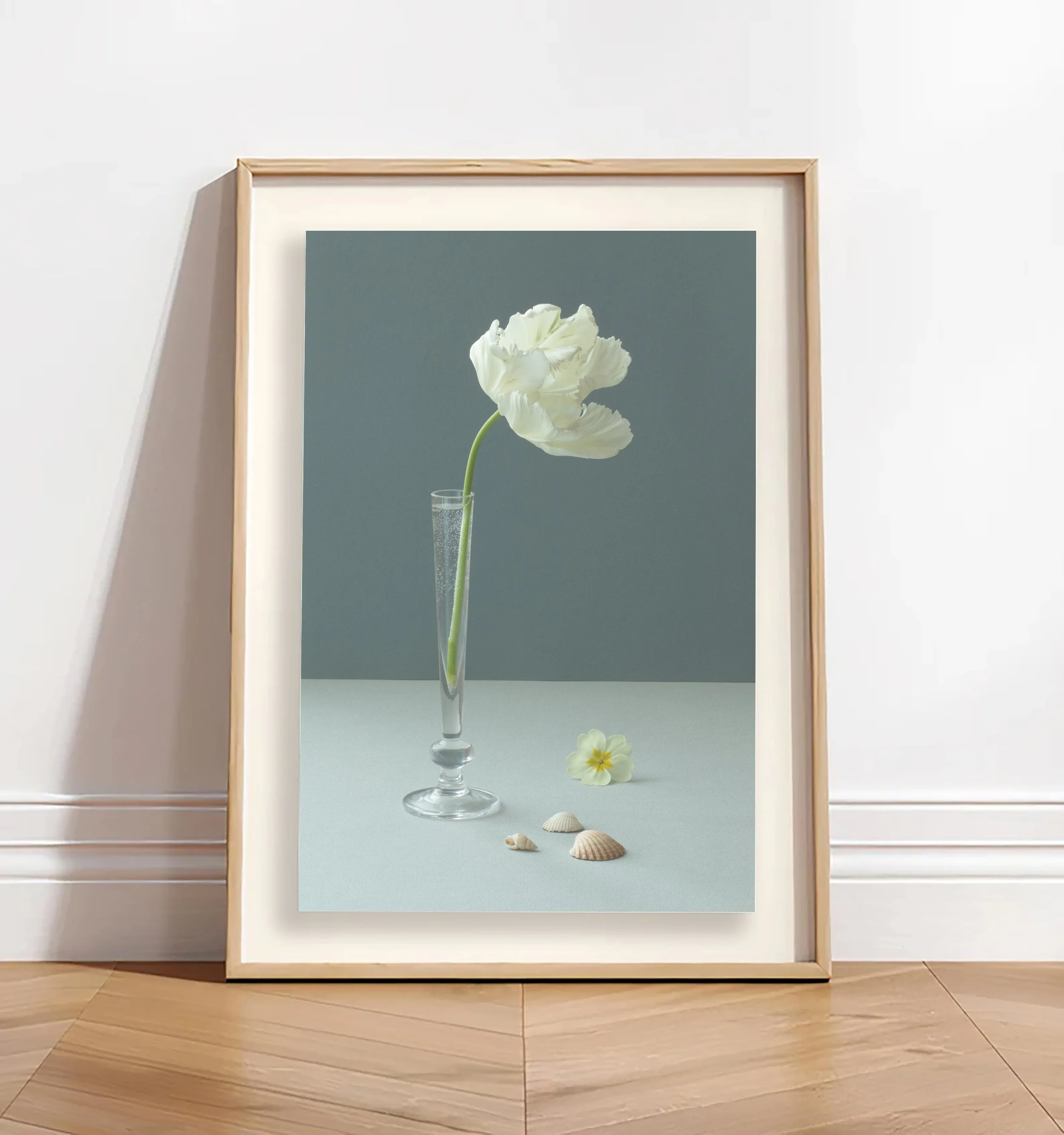 White Parrot Tulip Still Life