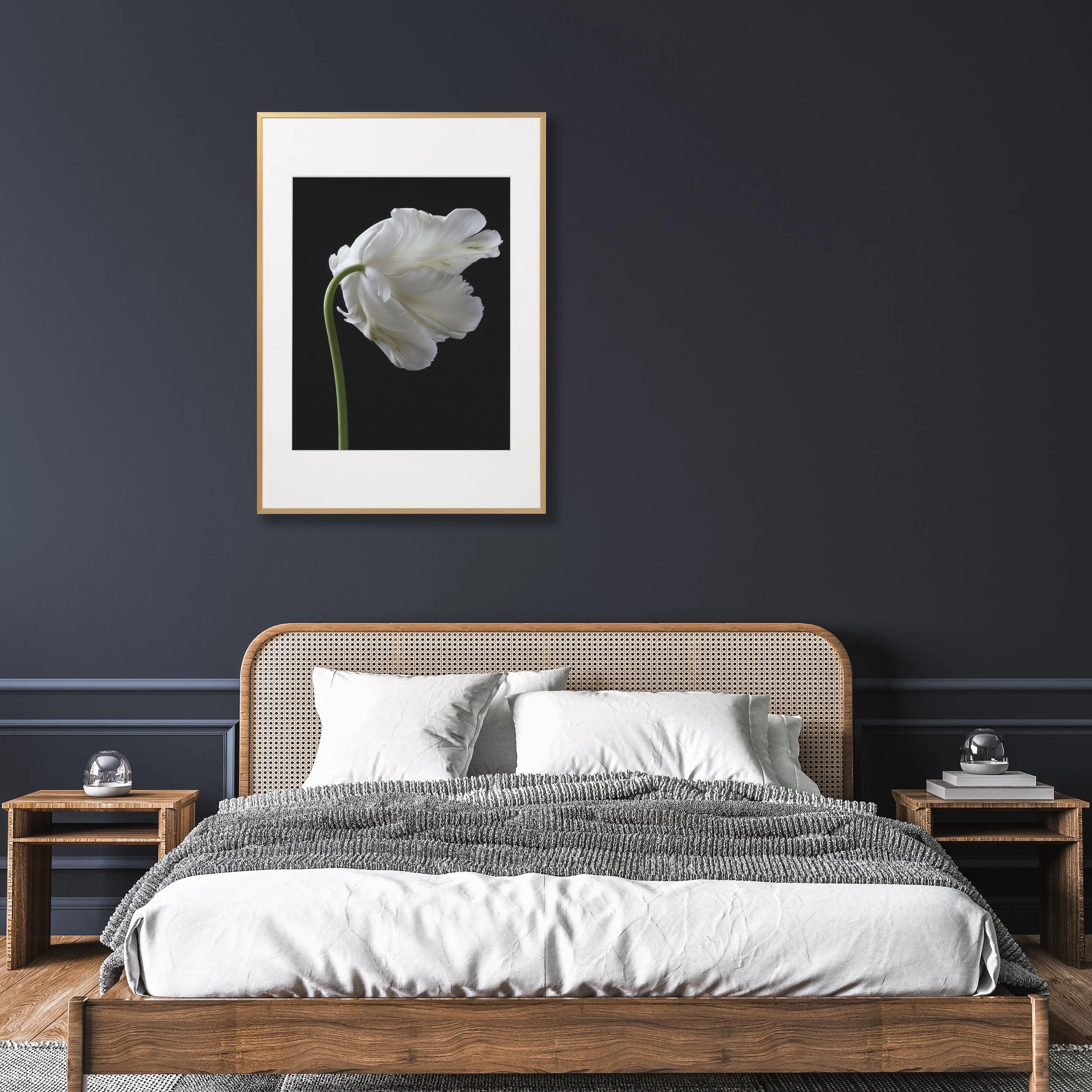White Parrot tulip framed print.