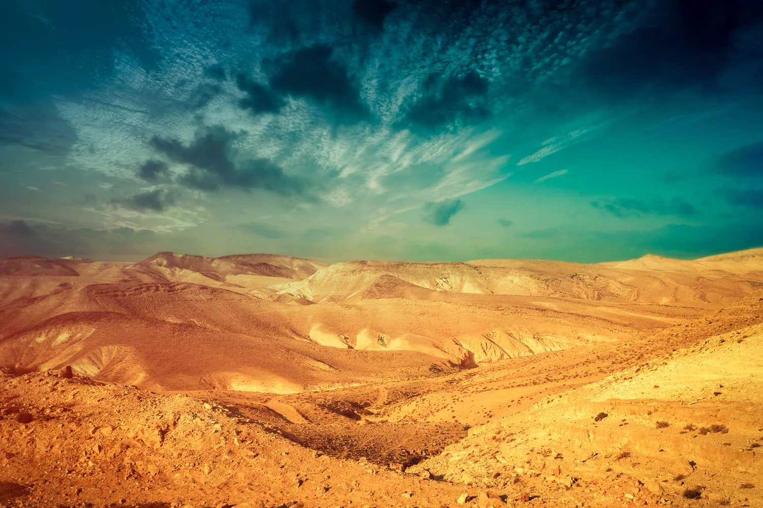 Judean-desert-web-ready.jpg
