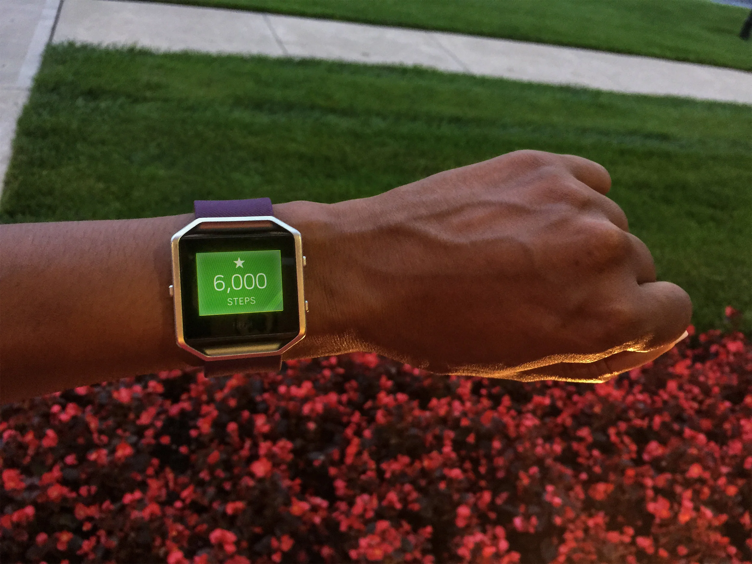 FitBitPic.jpg