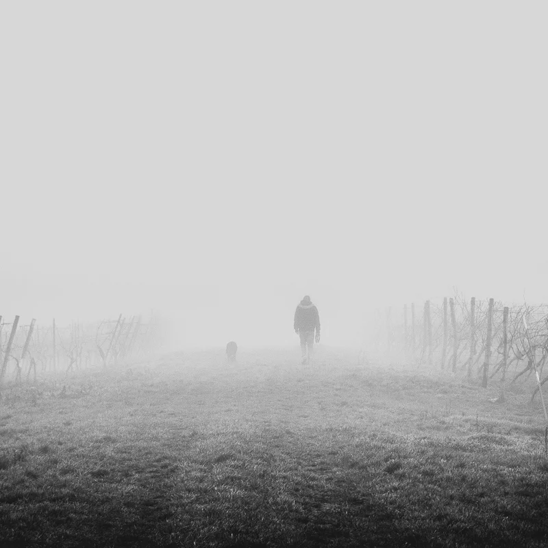 Conquer Brain Fog: Clearer Thinking and More Productive Days