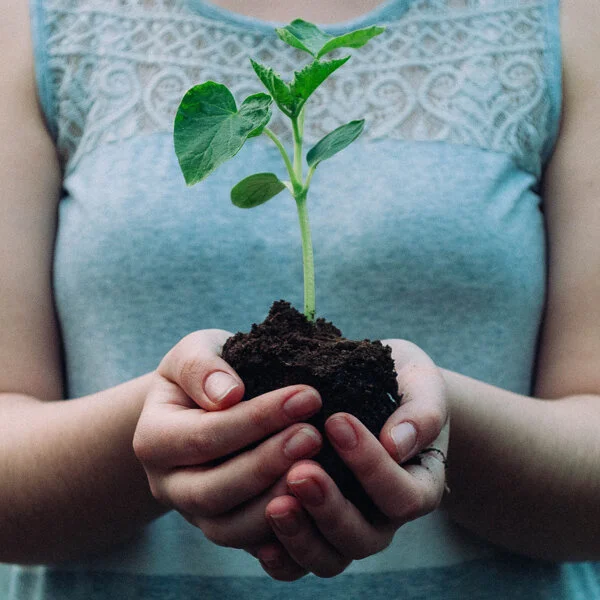 The Urgency of Regenerative Farming with Jennifer Maynard of Nutrition for Longevity