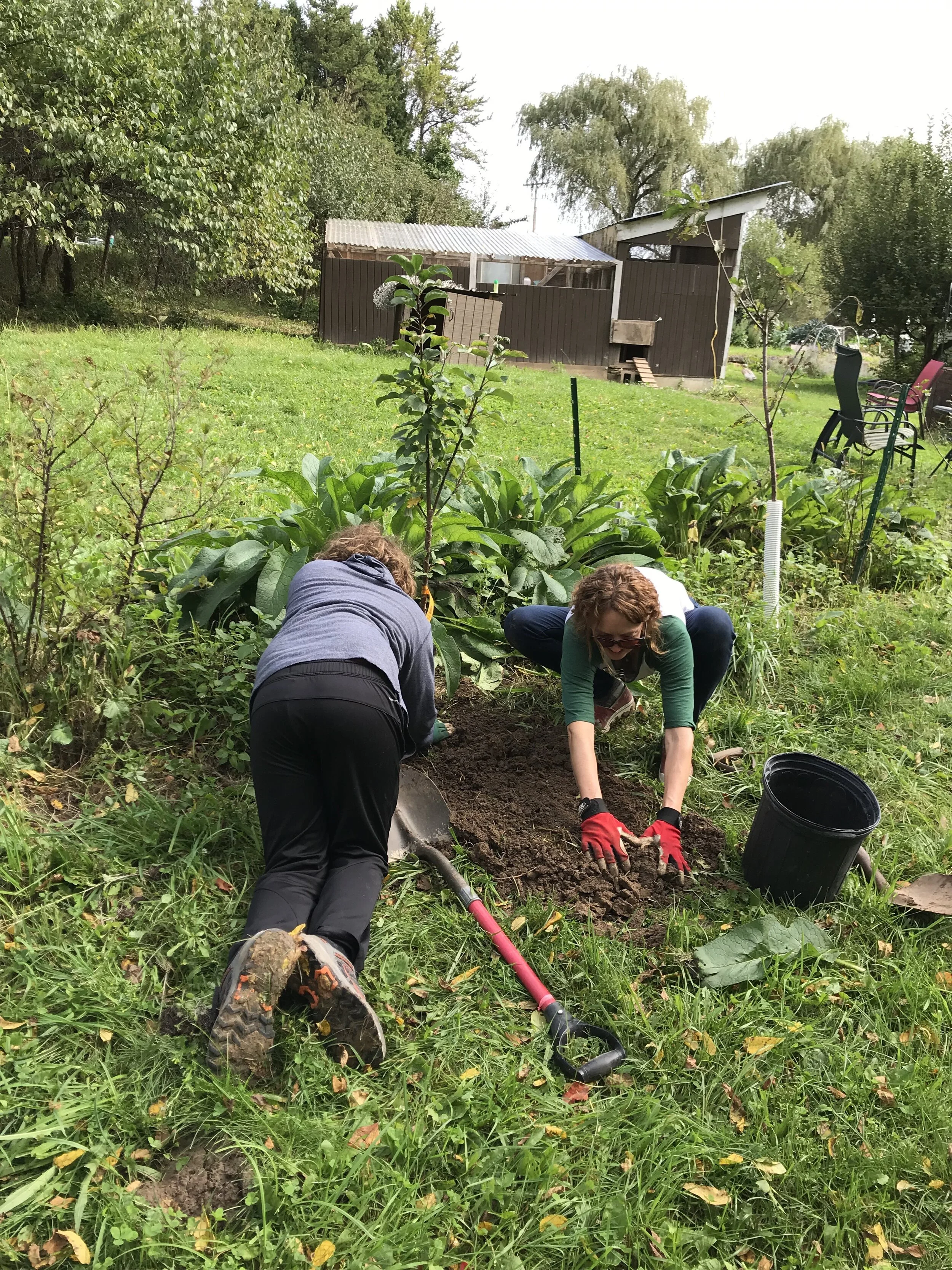 HSF Education: Fall Homeschool Class Week 2