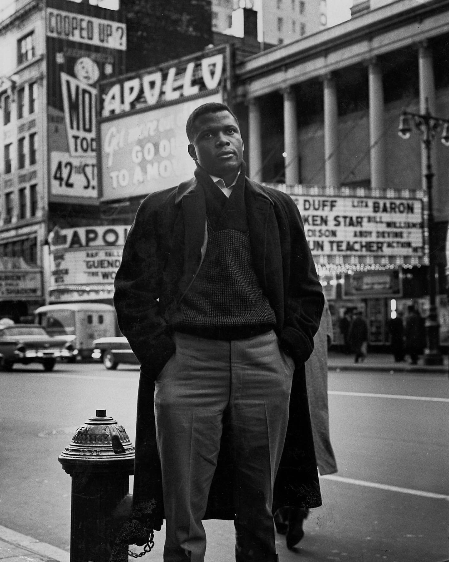Smashed the glass ceiling and sorry but bloody hell what a beautiful man?! Sydney Poitier. A trailblazer if ever there was. A movie star if ever there was&hellip;