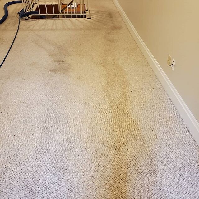 Before pic