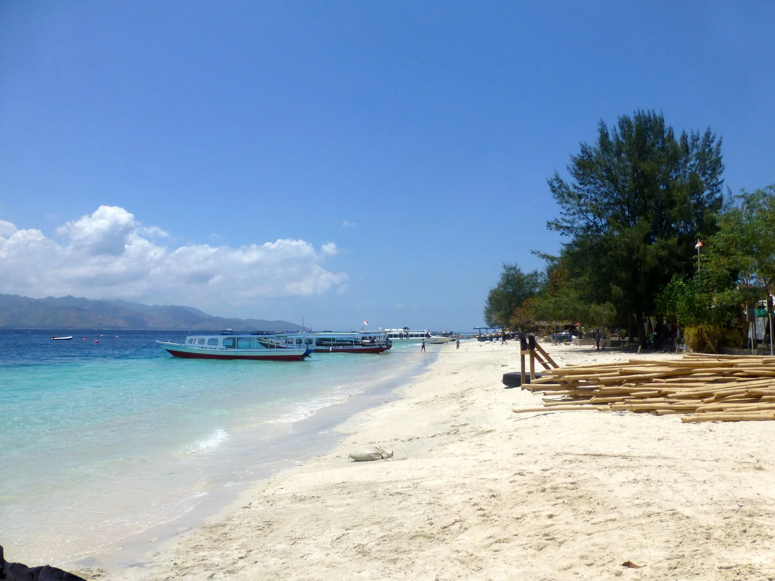 Diving Into Indonesia!