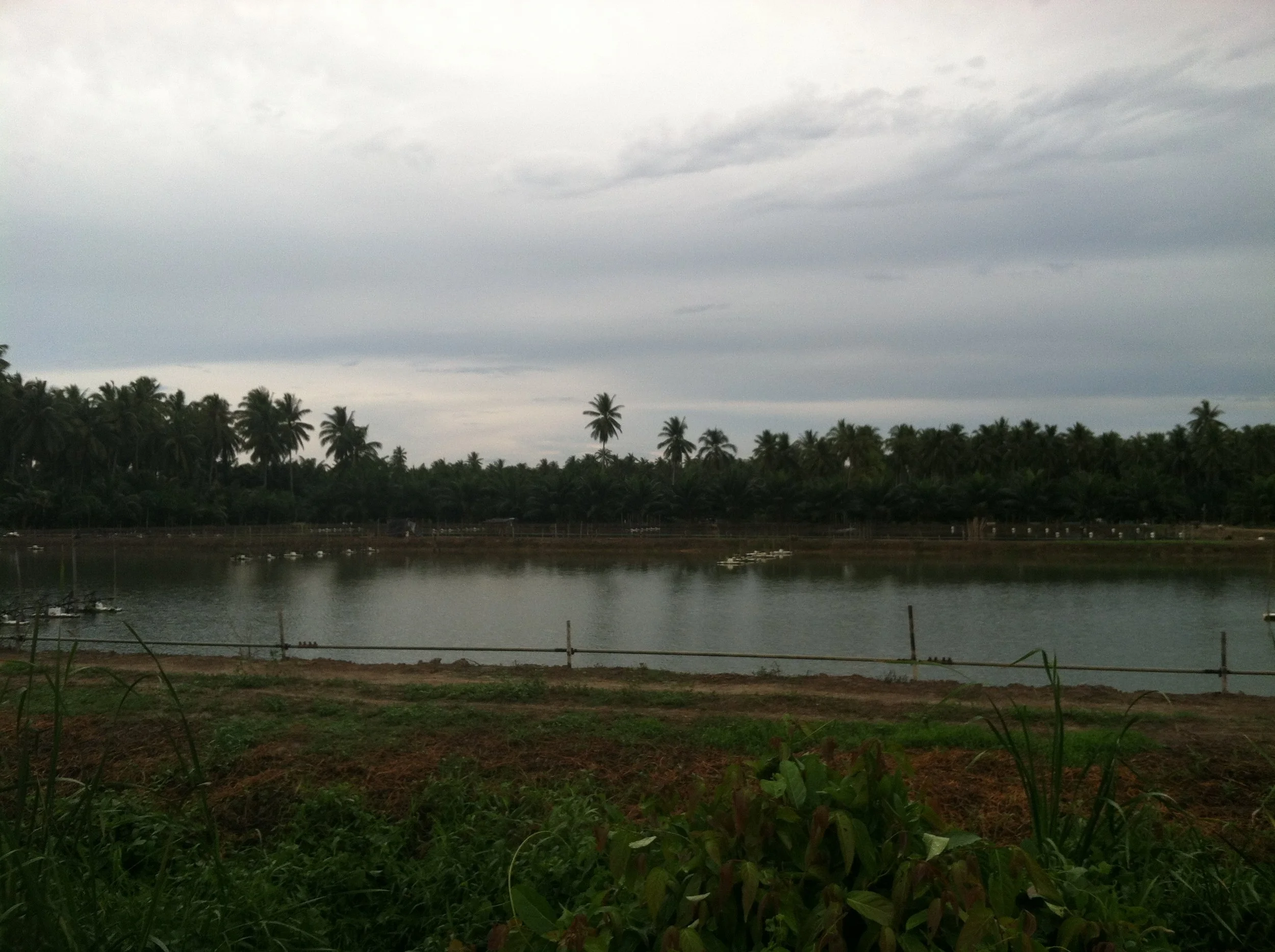 Welcome to the Jungle