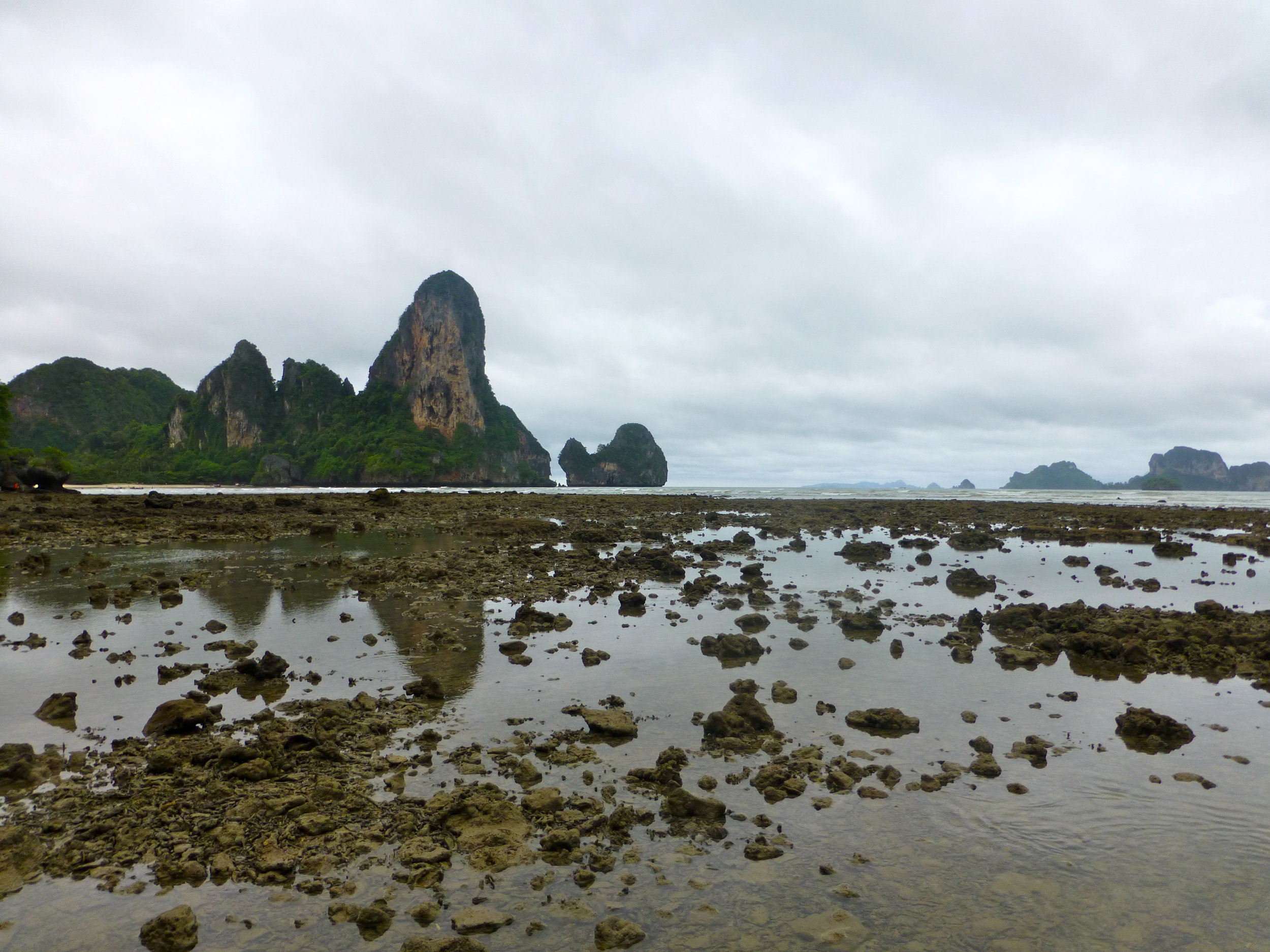 p1000794.jpg