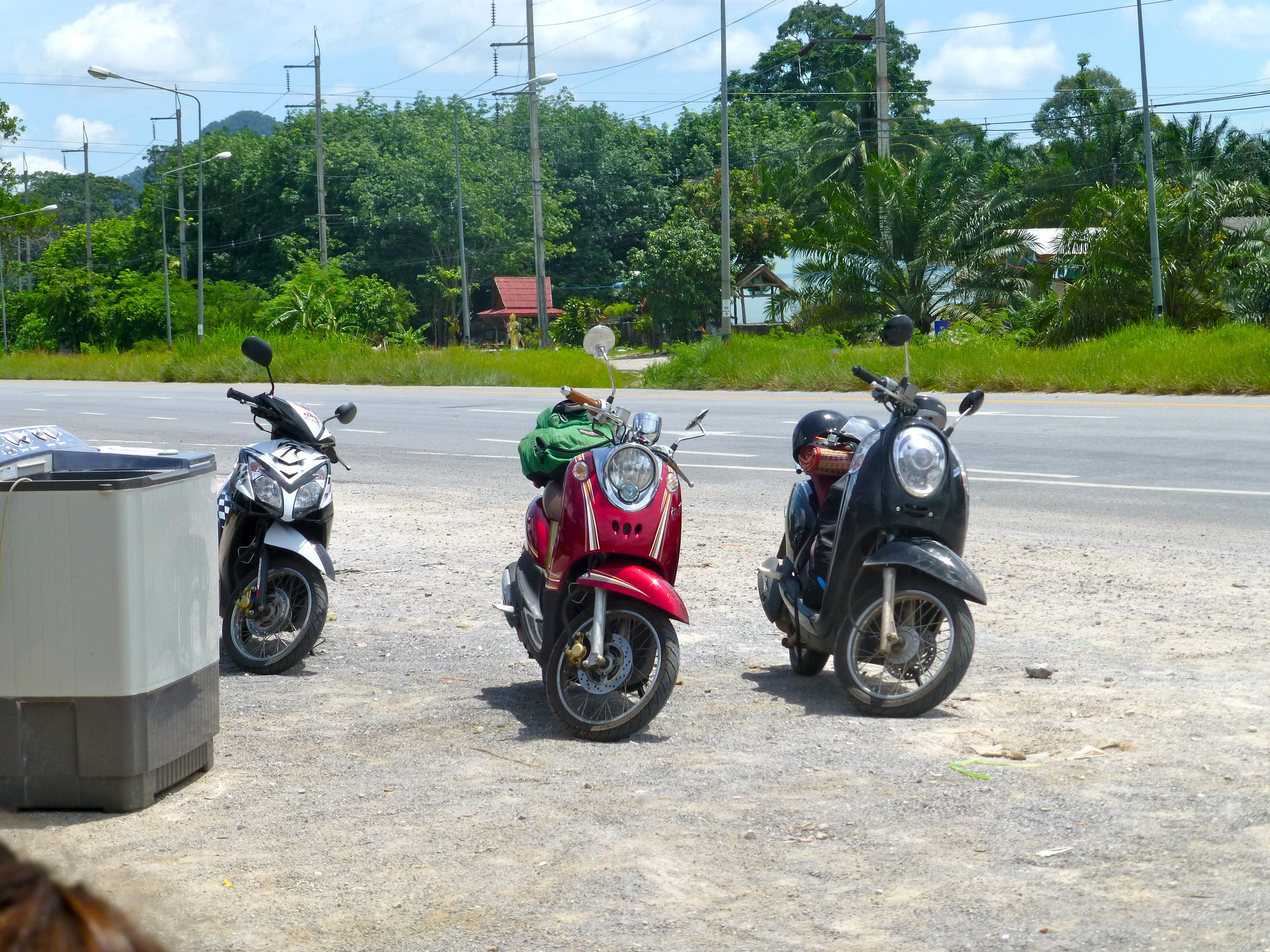 p1000835.jpg