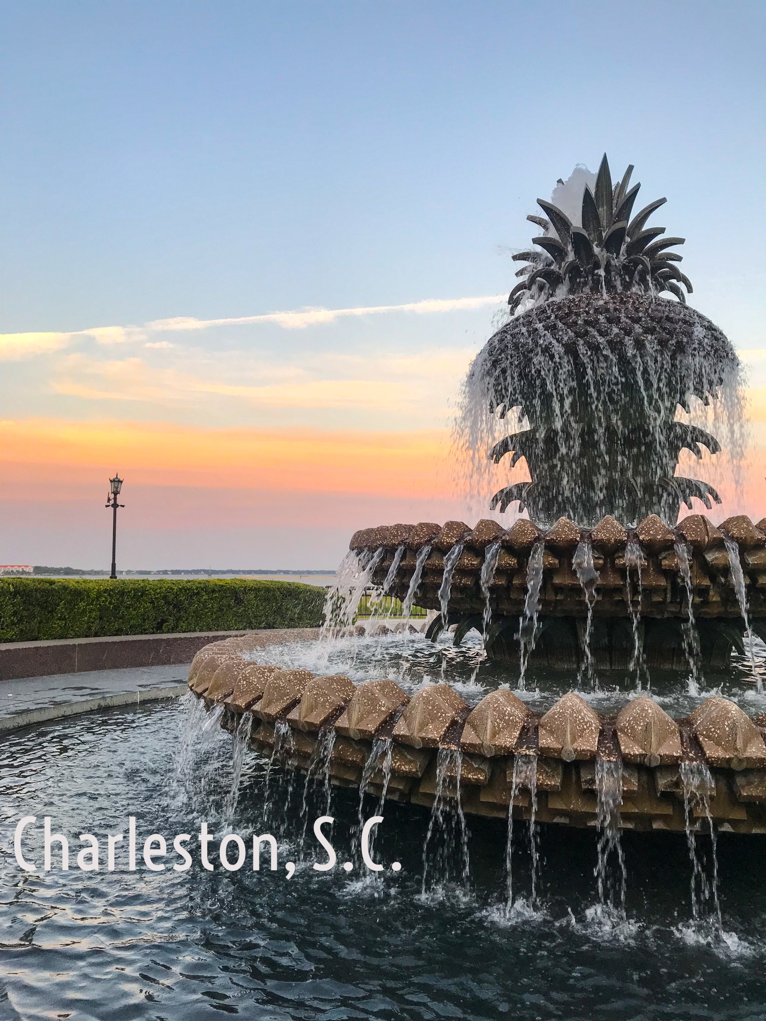  Hot little biscuits, fried tomatoes and grits.  Say no more.  