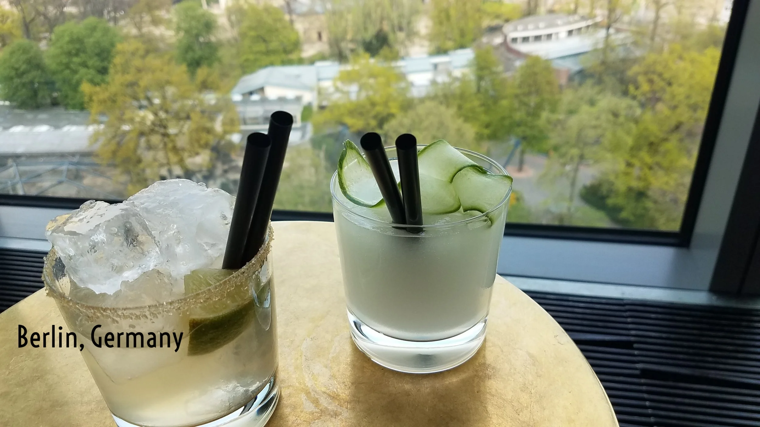  Drinks at the Monkey Bar…while watching the monkeys. 