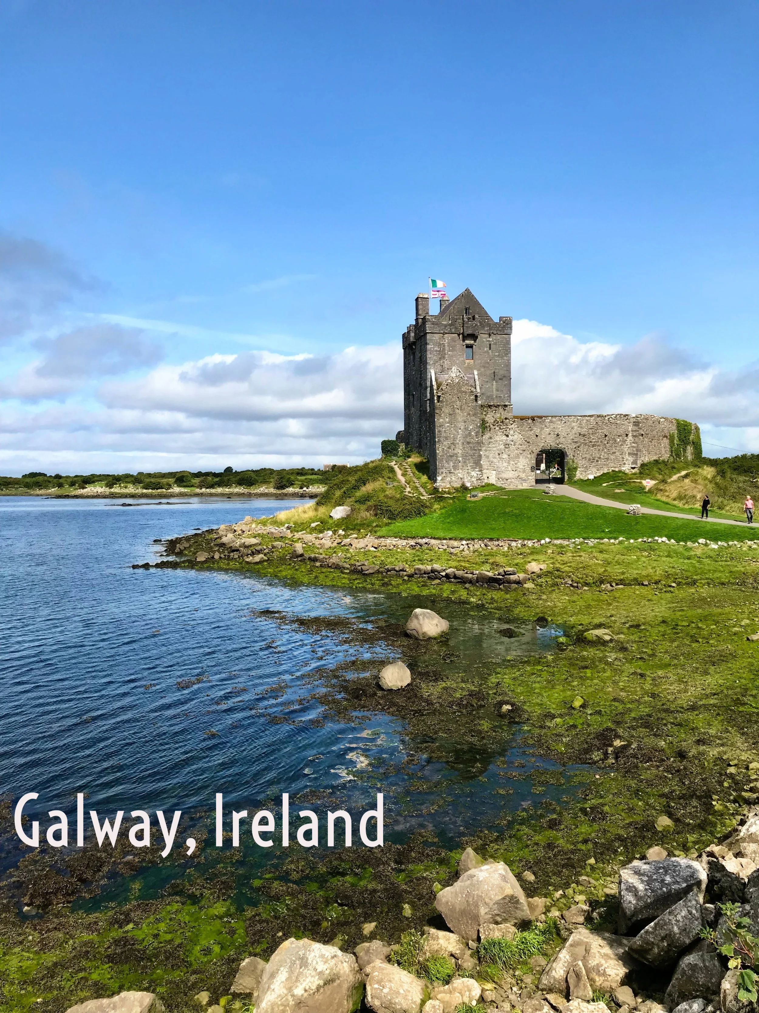  Stumble upon a castle while you drive the coast. 