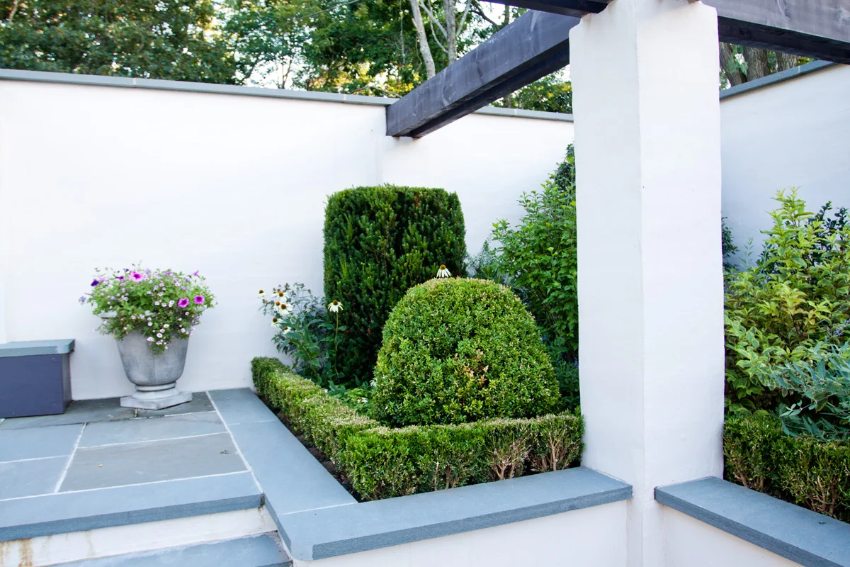 michael trapp_MG_9251.jpg