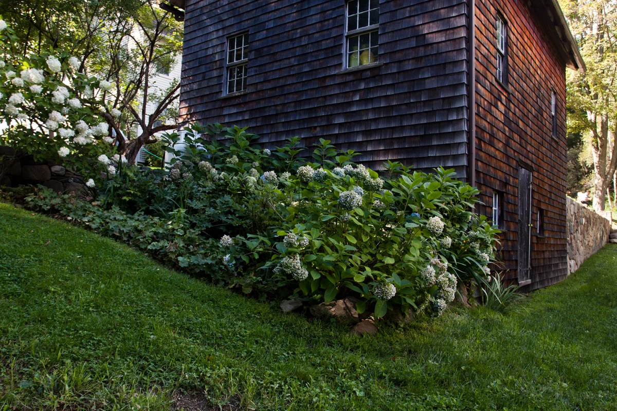 michael trapp_MG_0606.jpg