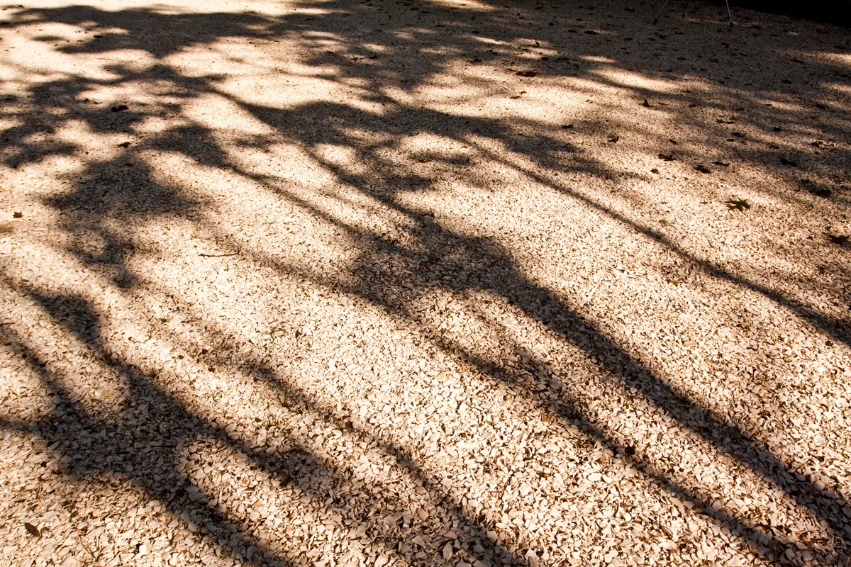 michael trapp_MG_9584.jpg