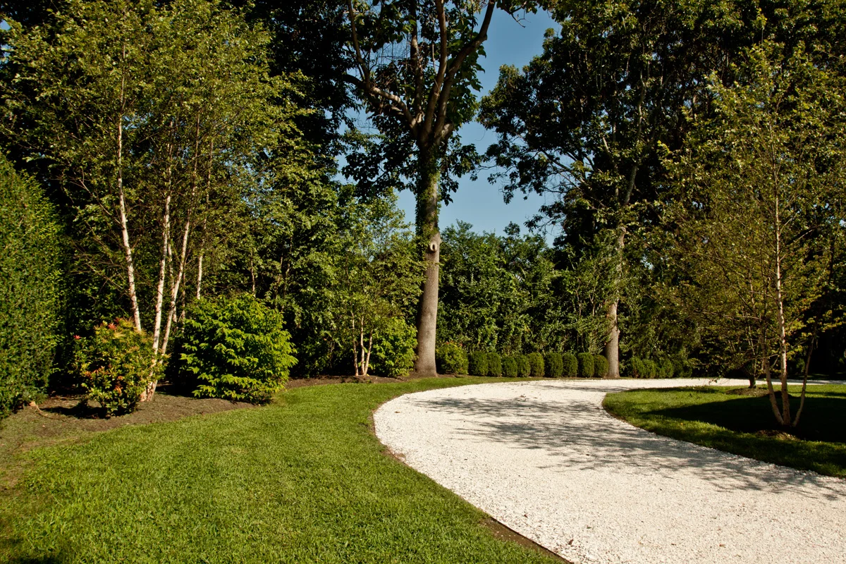 michael trapp_MG_9709.jpg