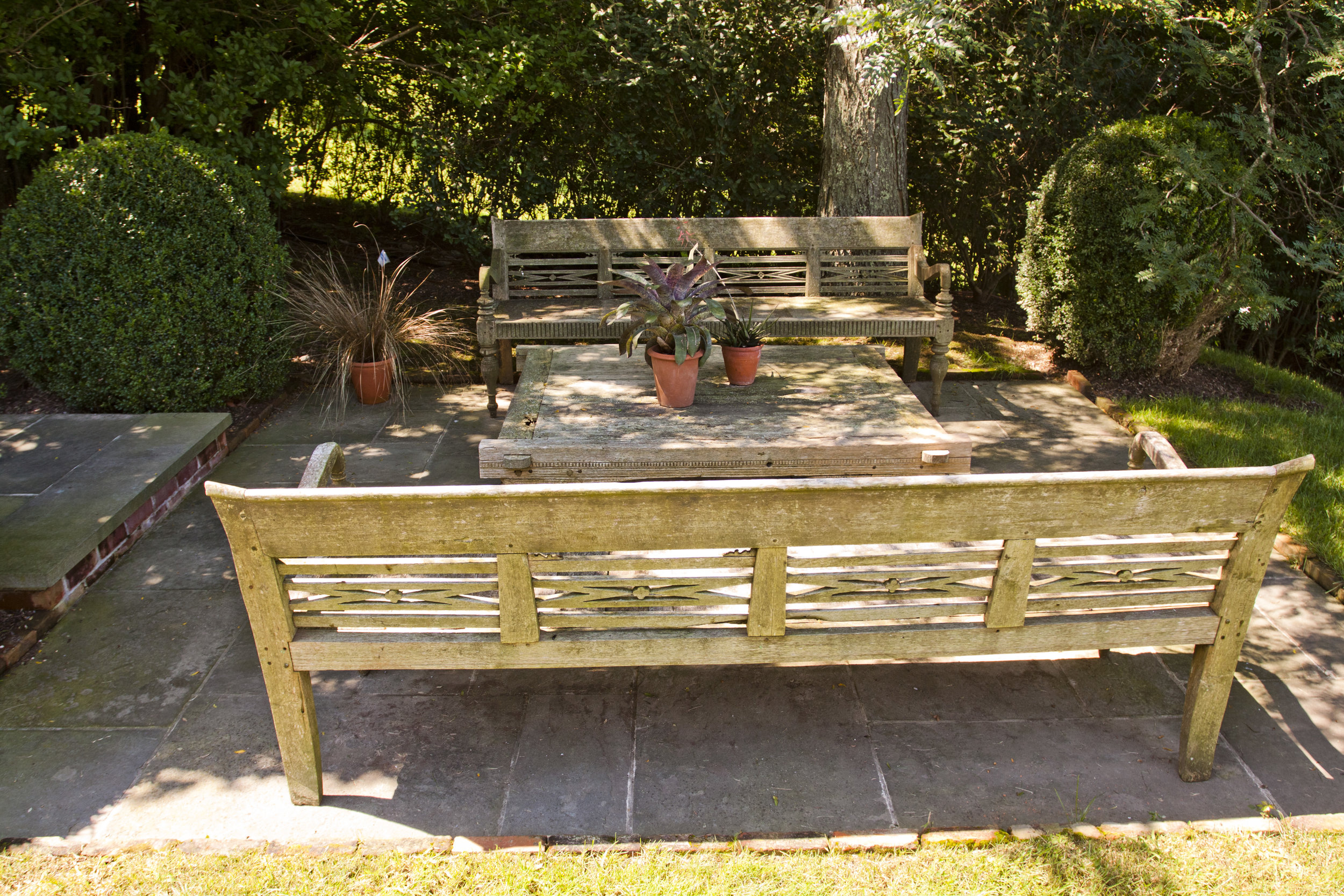 michael trapp_MG_0014.jpg