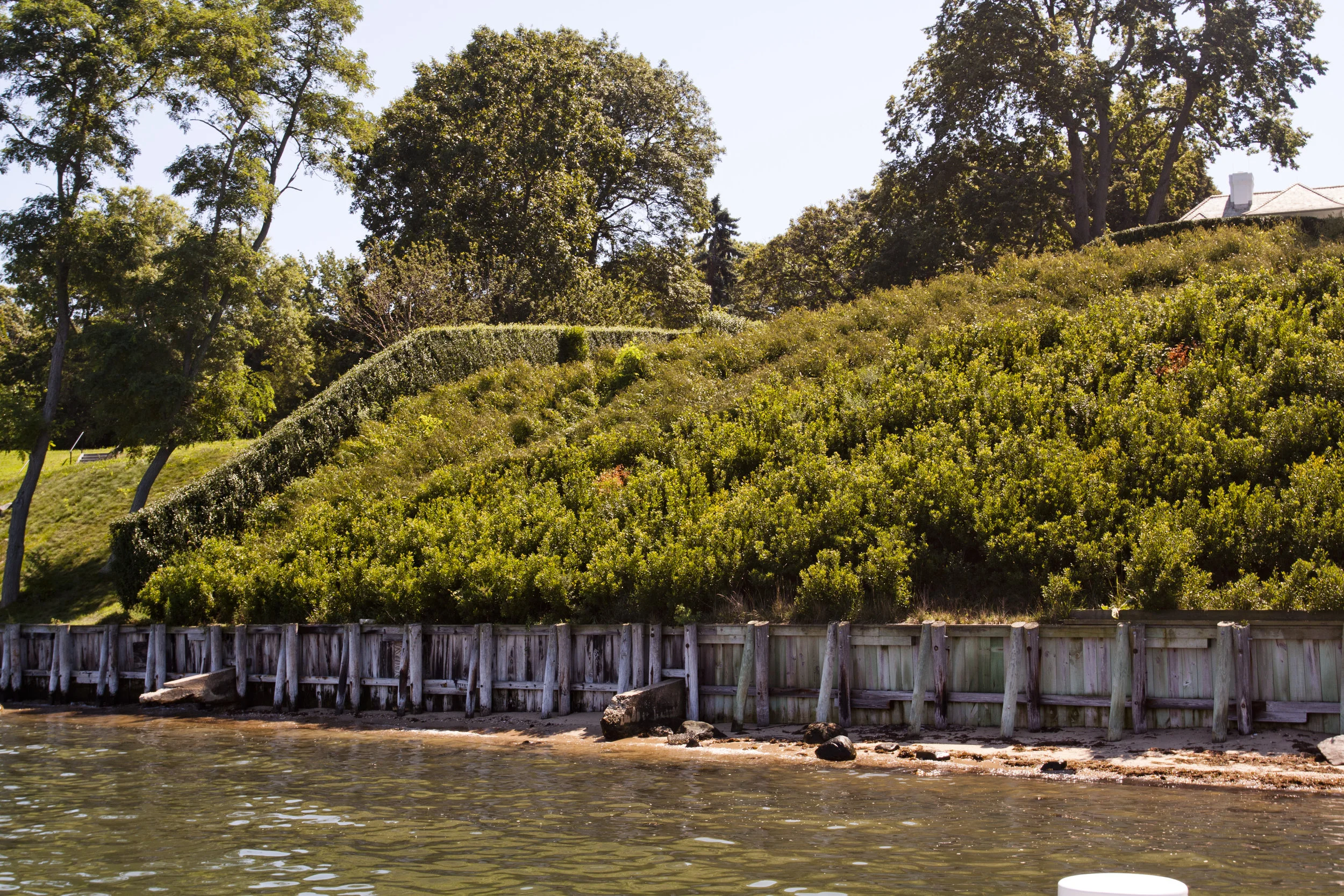 michael trapp_MG_0035.jpg