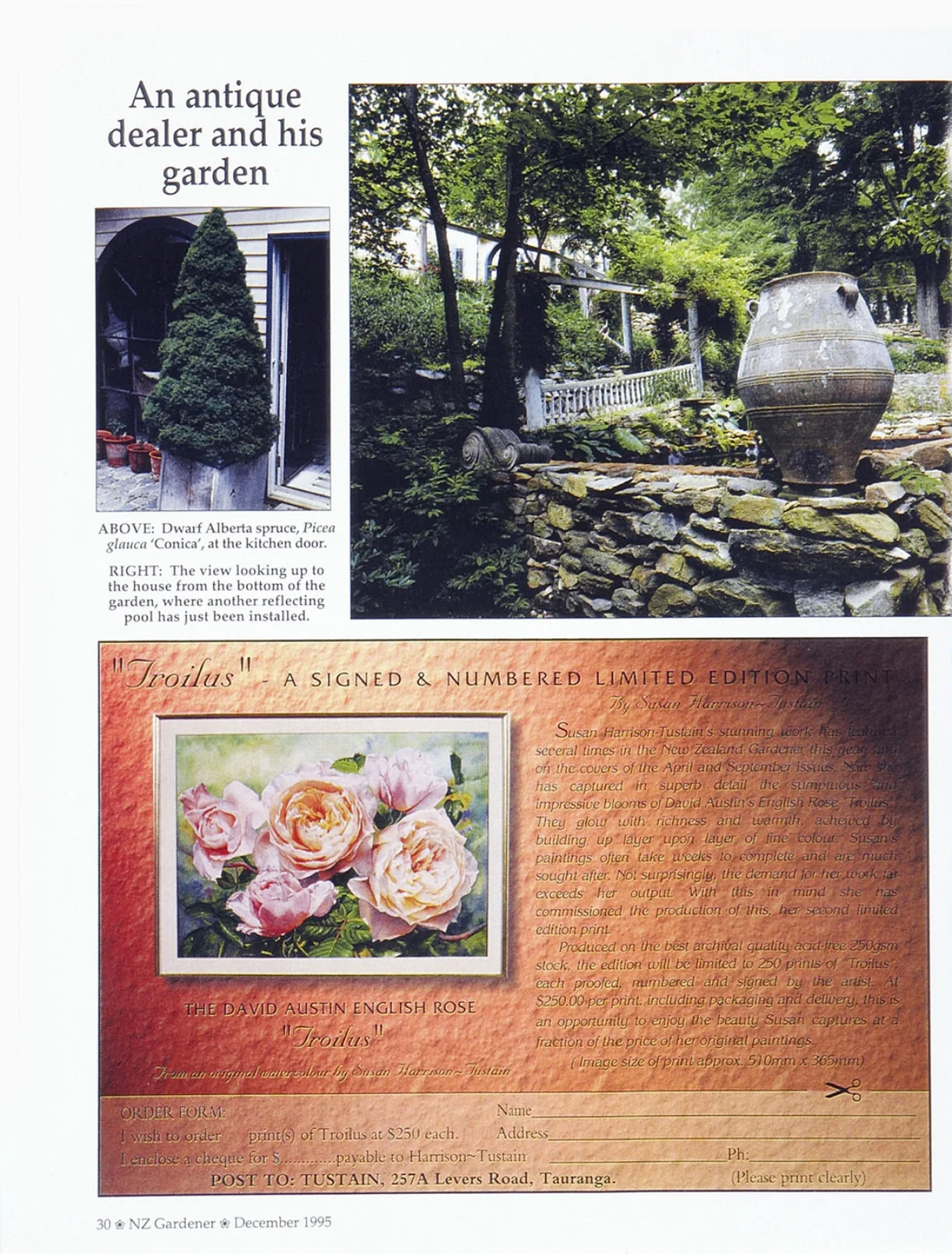 NZGardener-4.jpg
