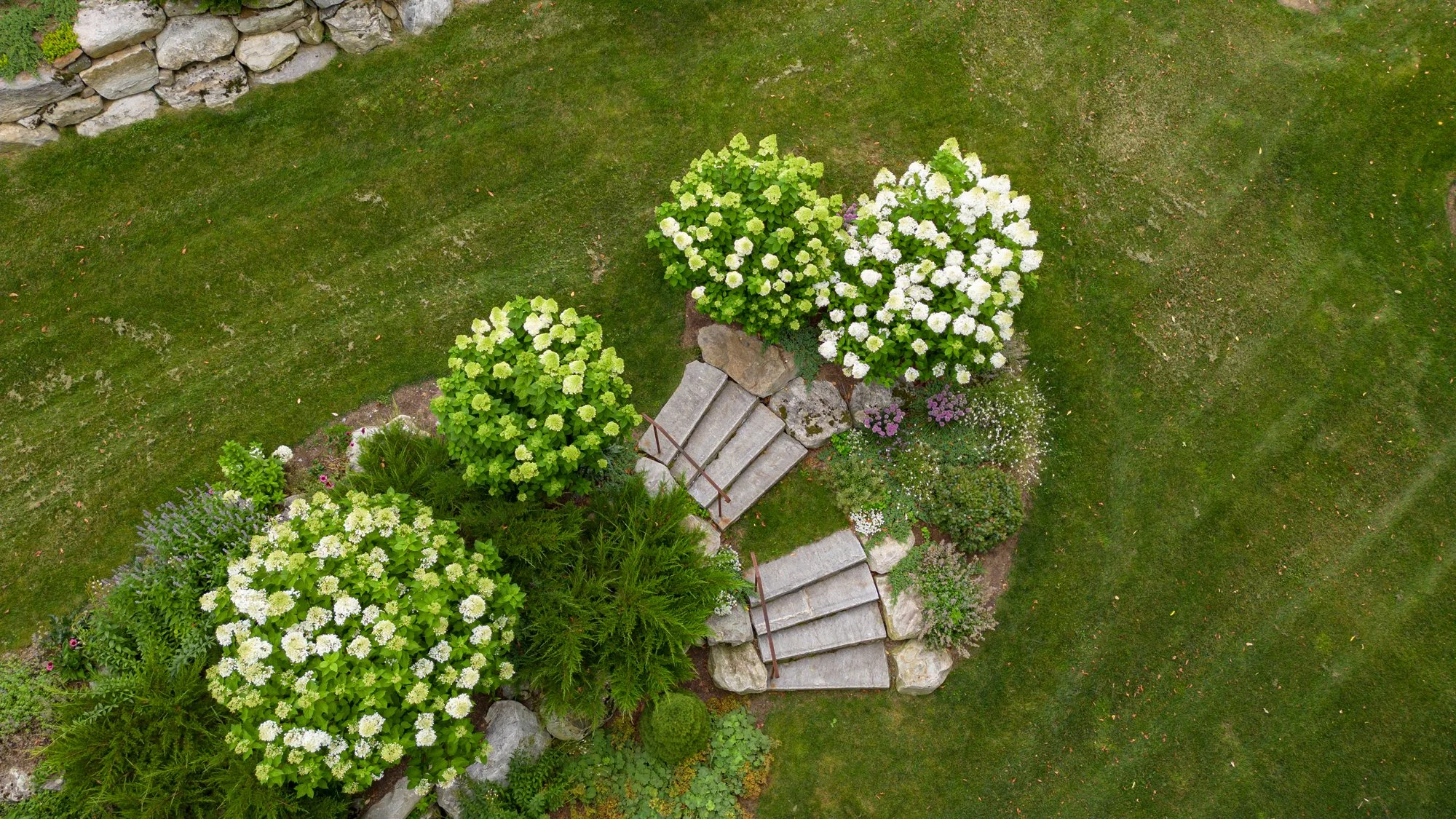 DJI_0025.jpg