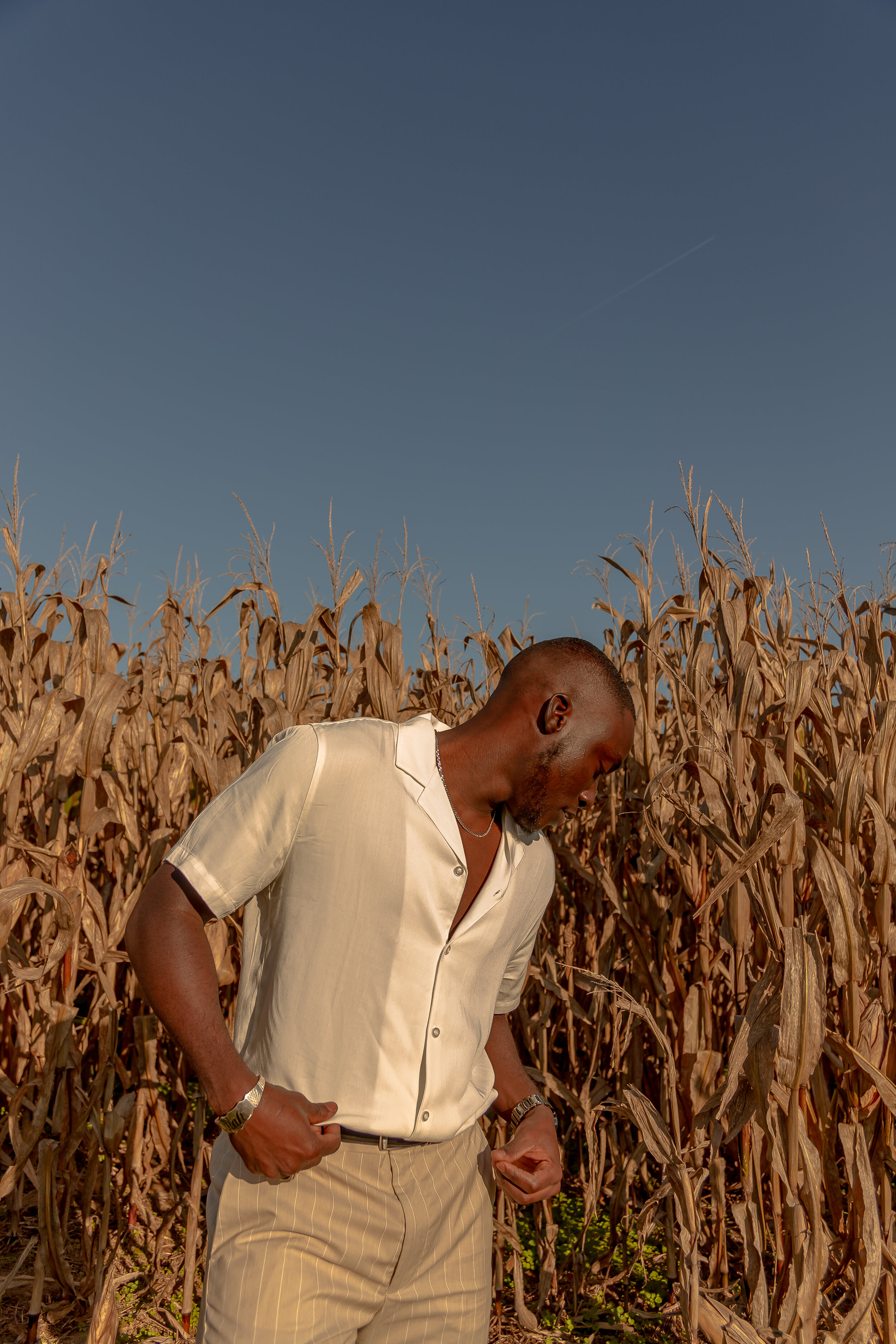 IMG_6684.jpg