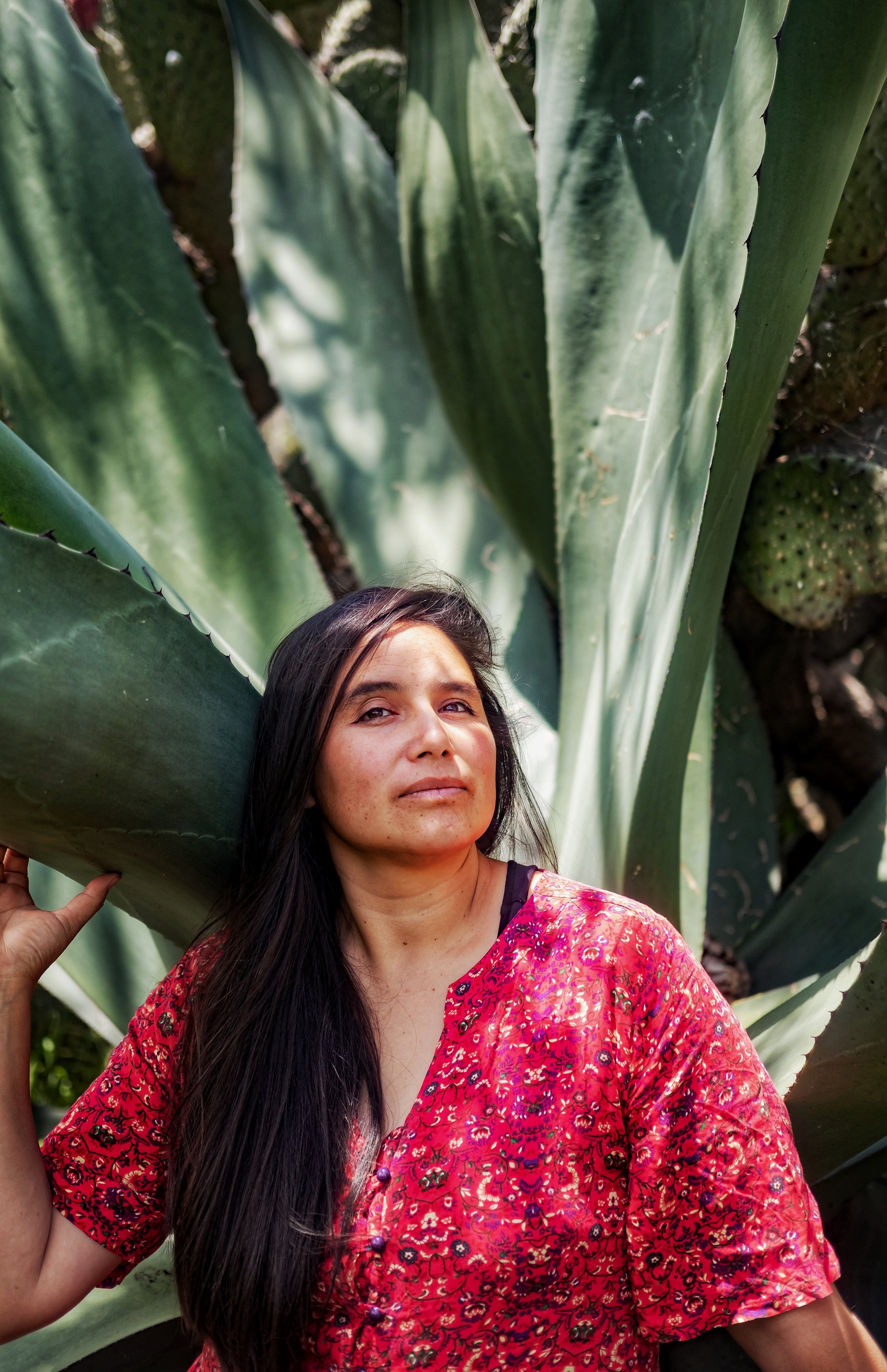  “Aurora and her agave”-Mexico 