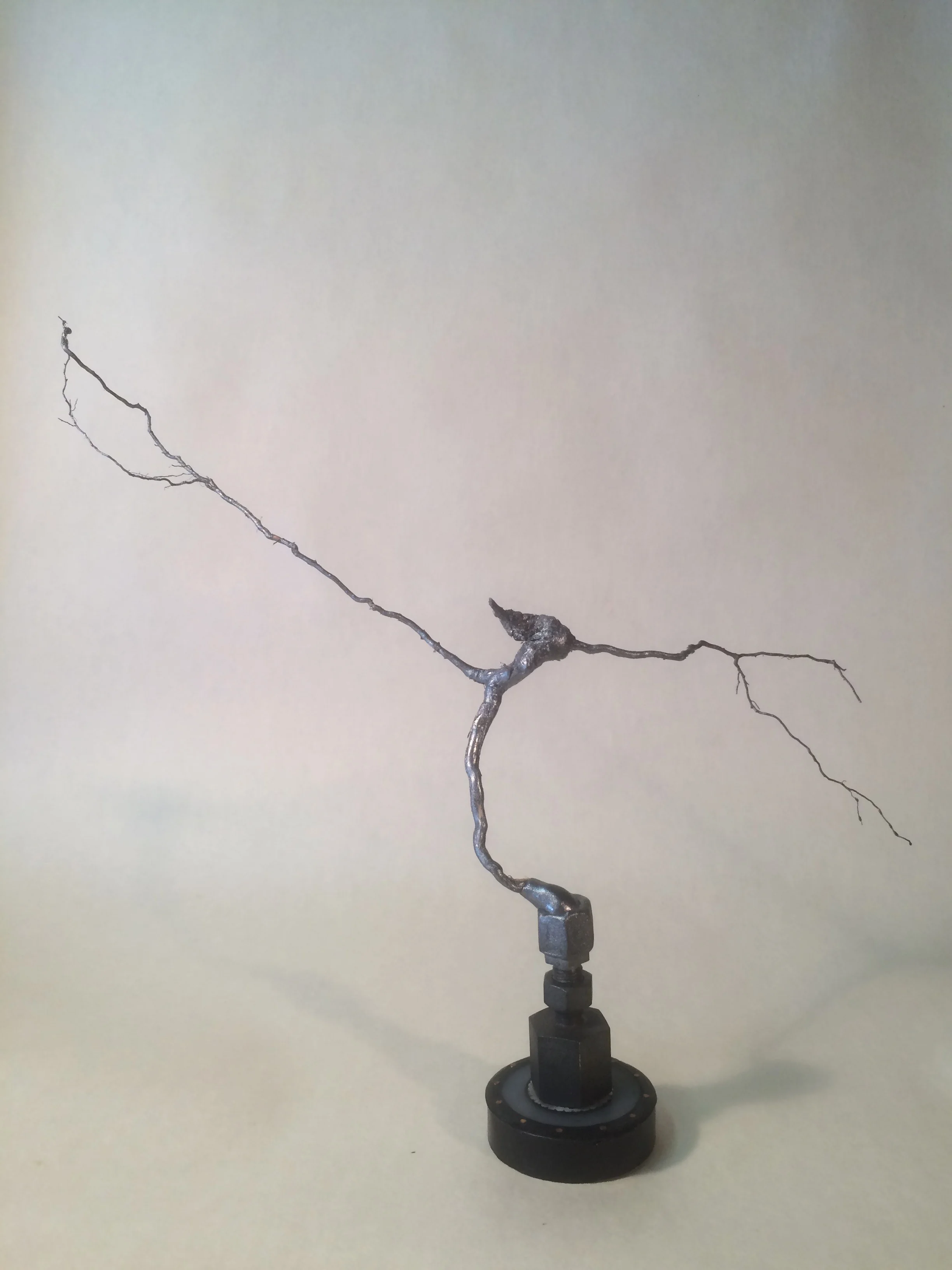 Dancing Root, 2015