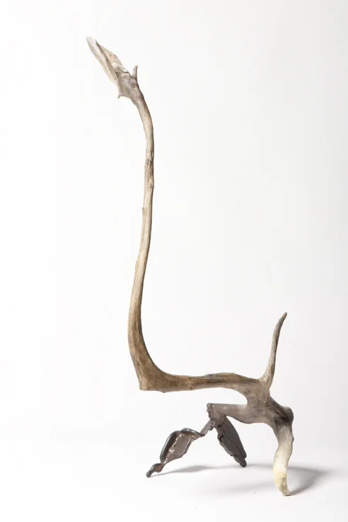 fo_bonetusk.jpg