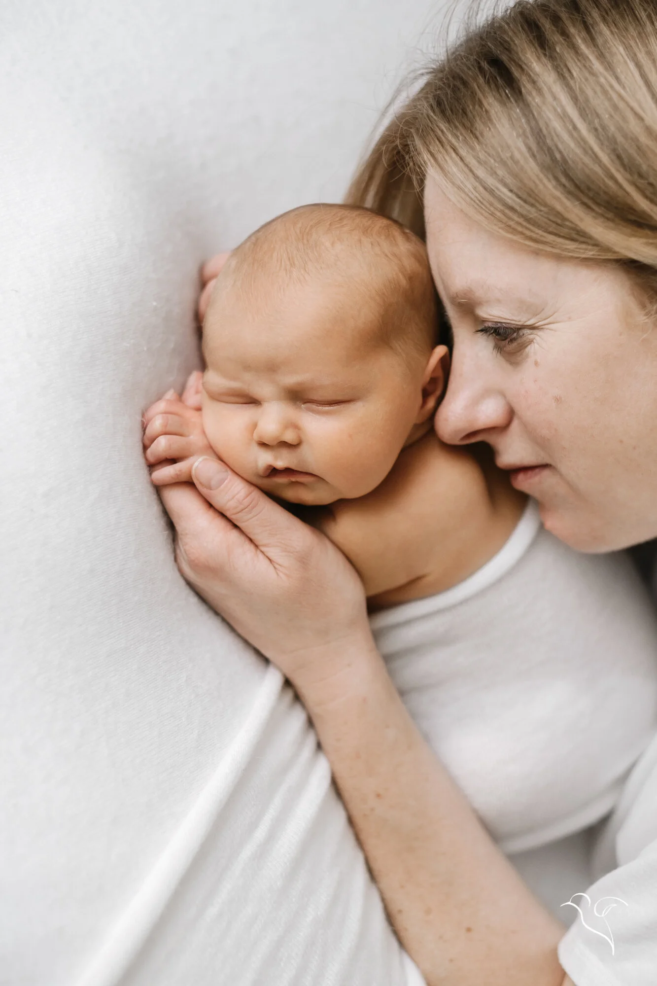 suzi bird motherhood photographer