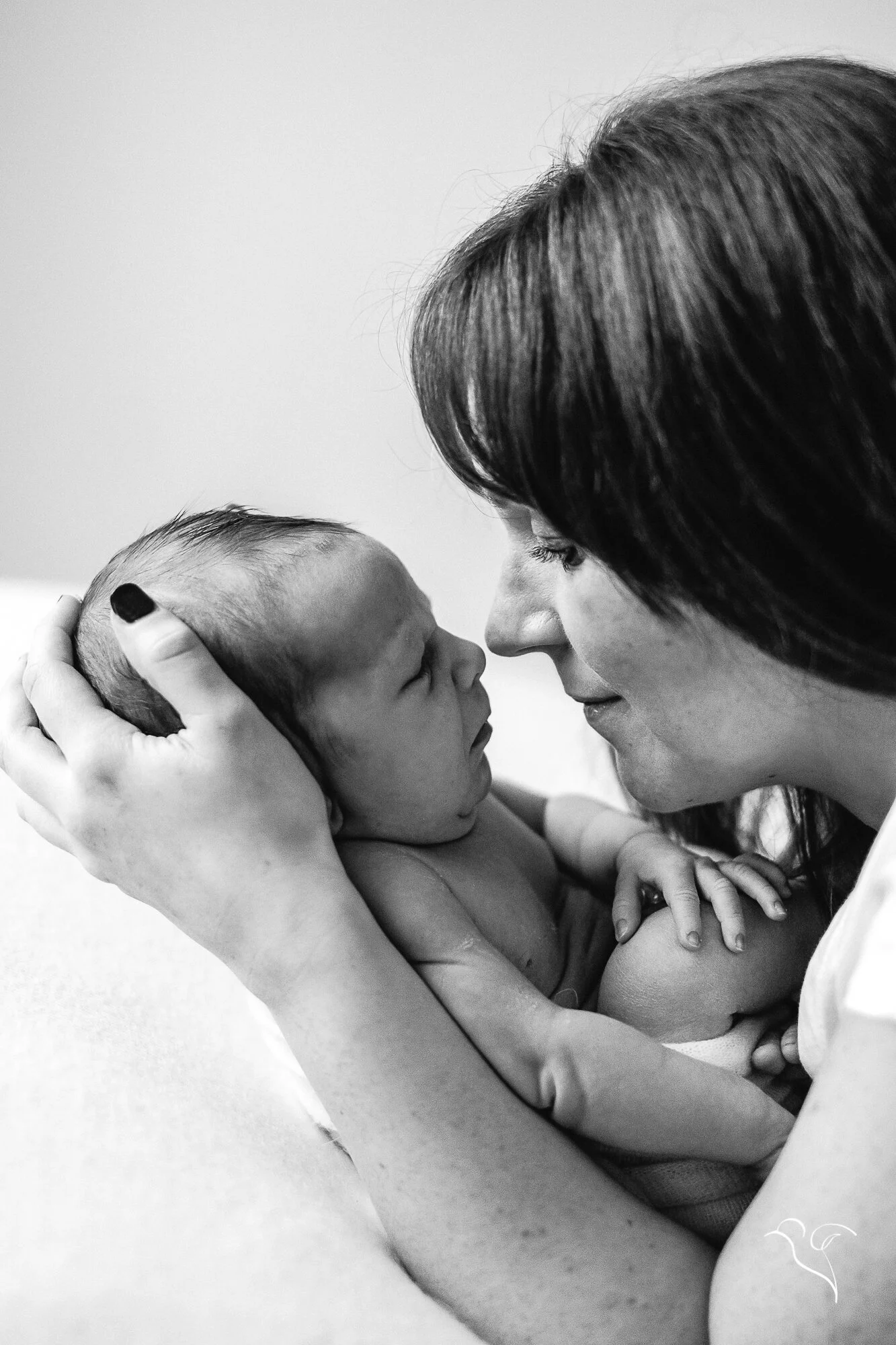 suzi bird motherhood photographer