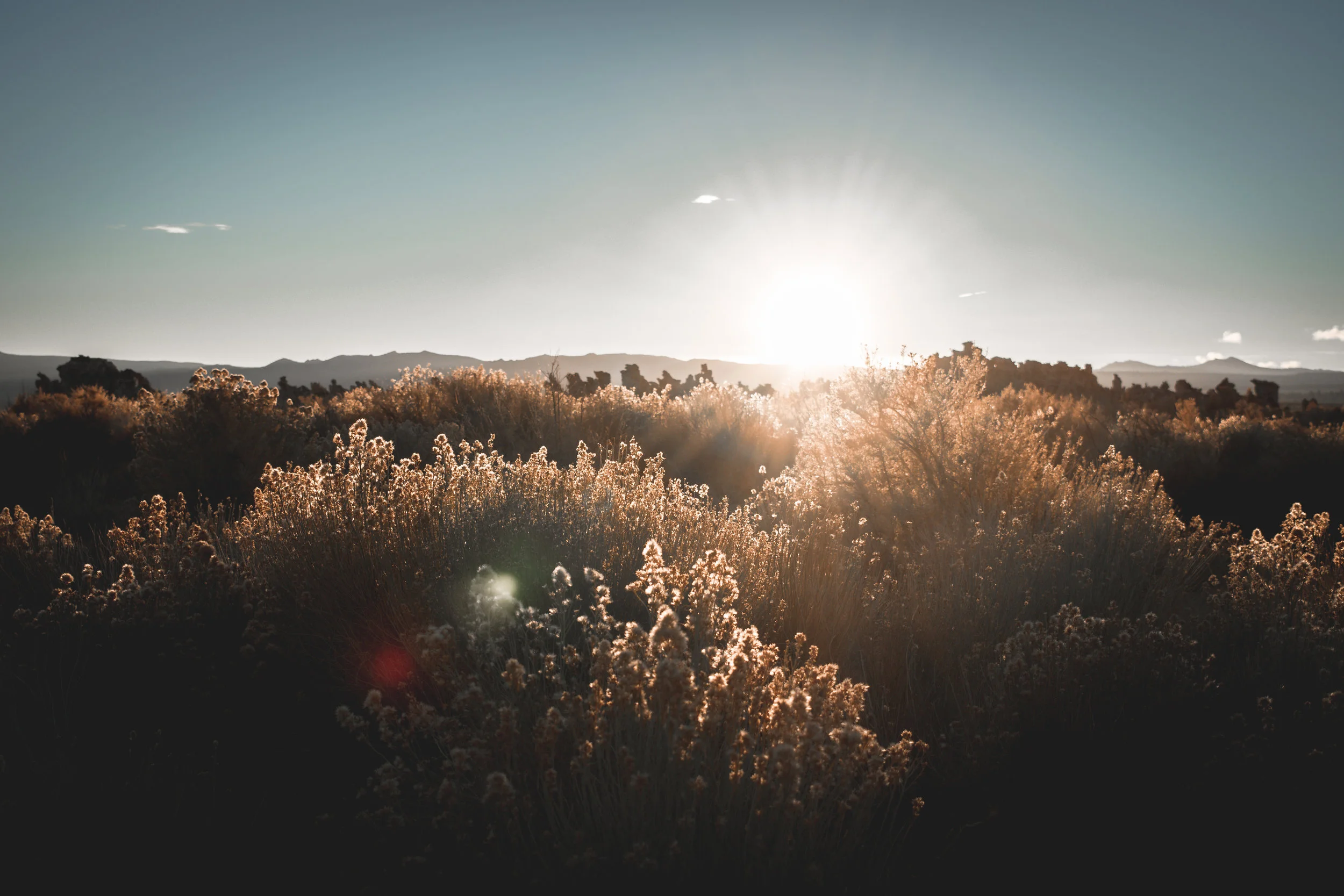 Mono Lake Sunrise