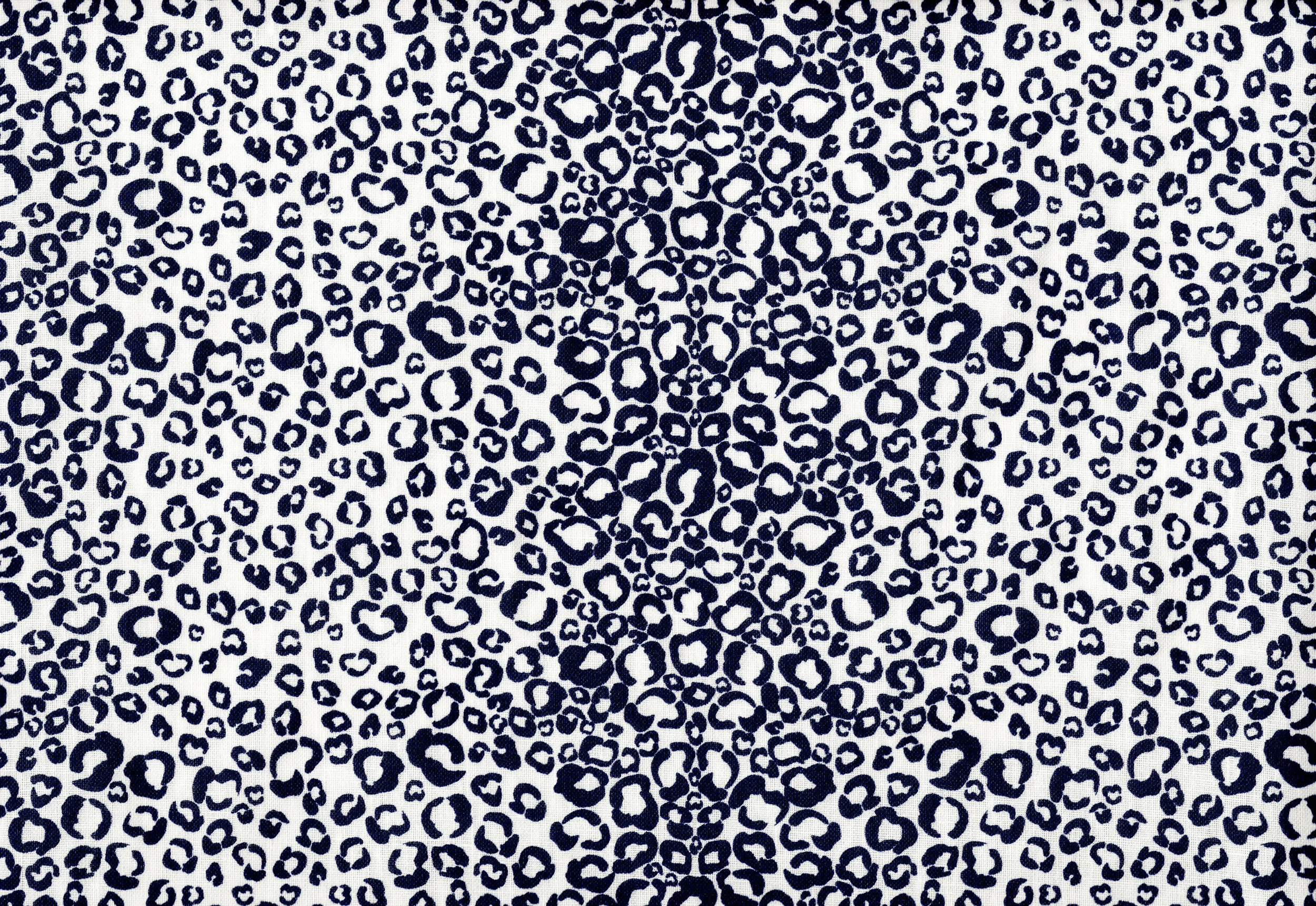 Leopard Spots_Indigo.jpg