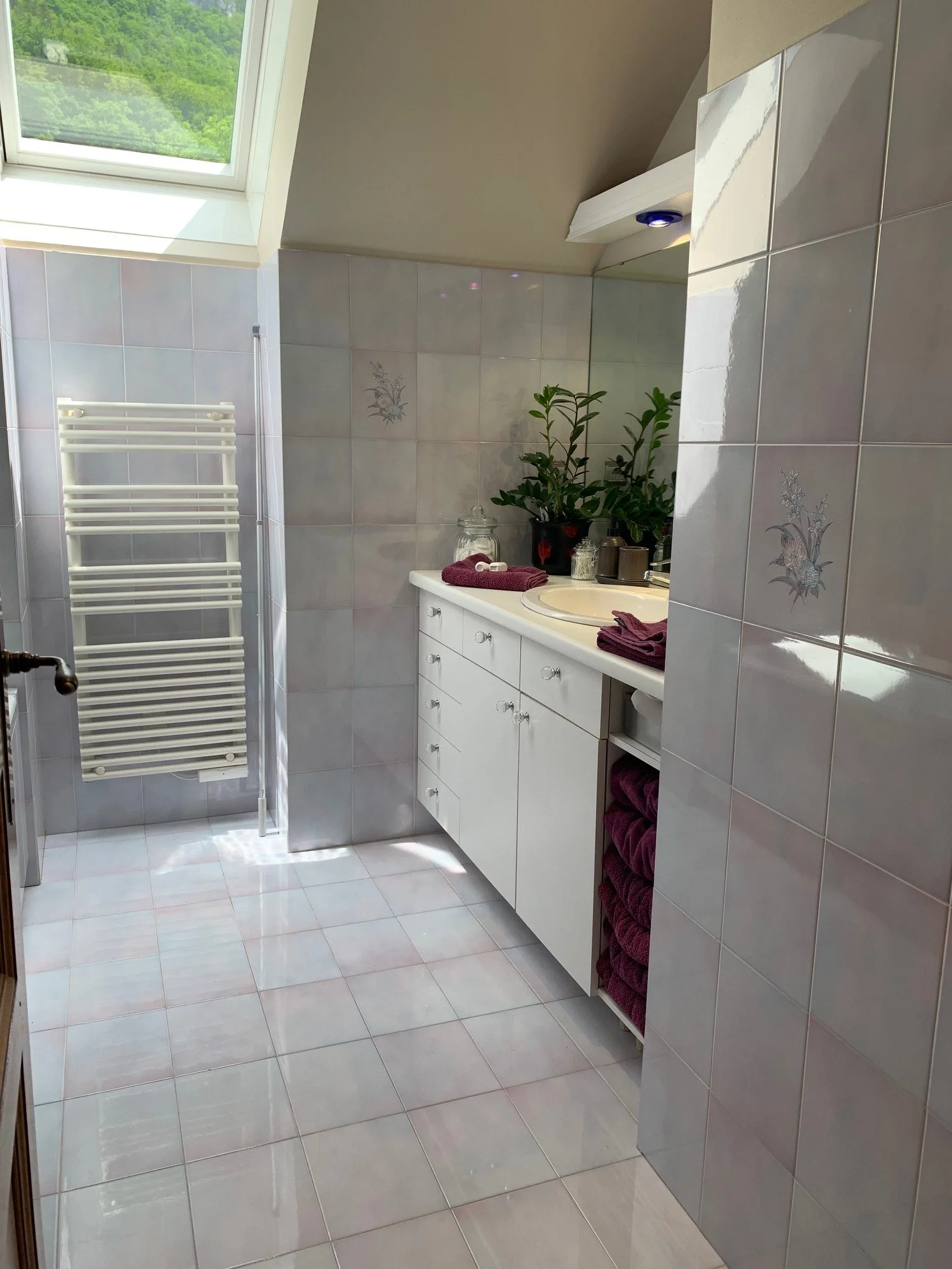 Villa_Infinity_Talloires_Lakeview pool Villa bathroom 2a.jpg