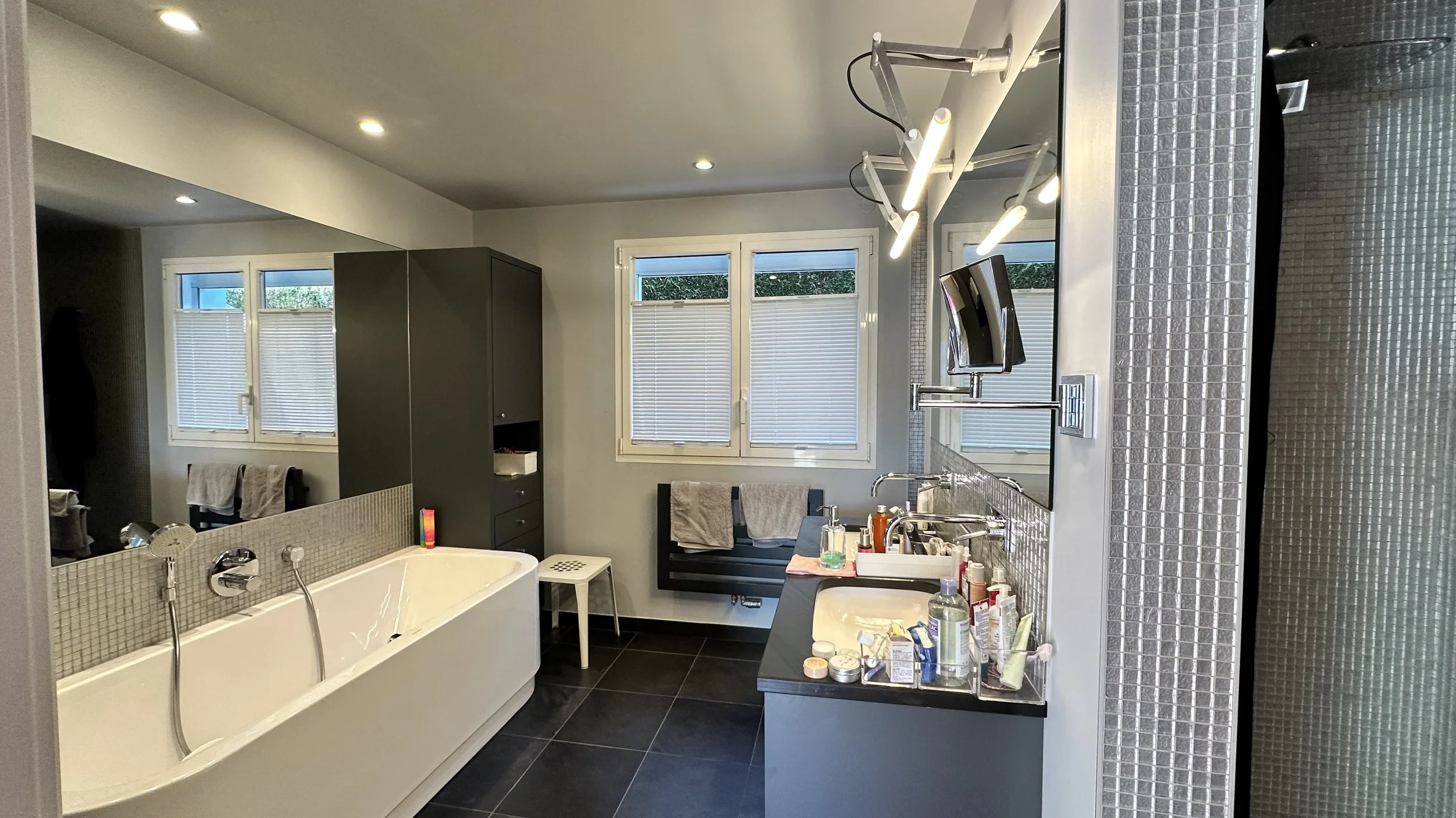 Villa-du-Mont-Veyrier_FullSizeRender (1).jpeg