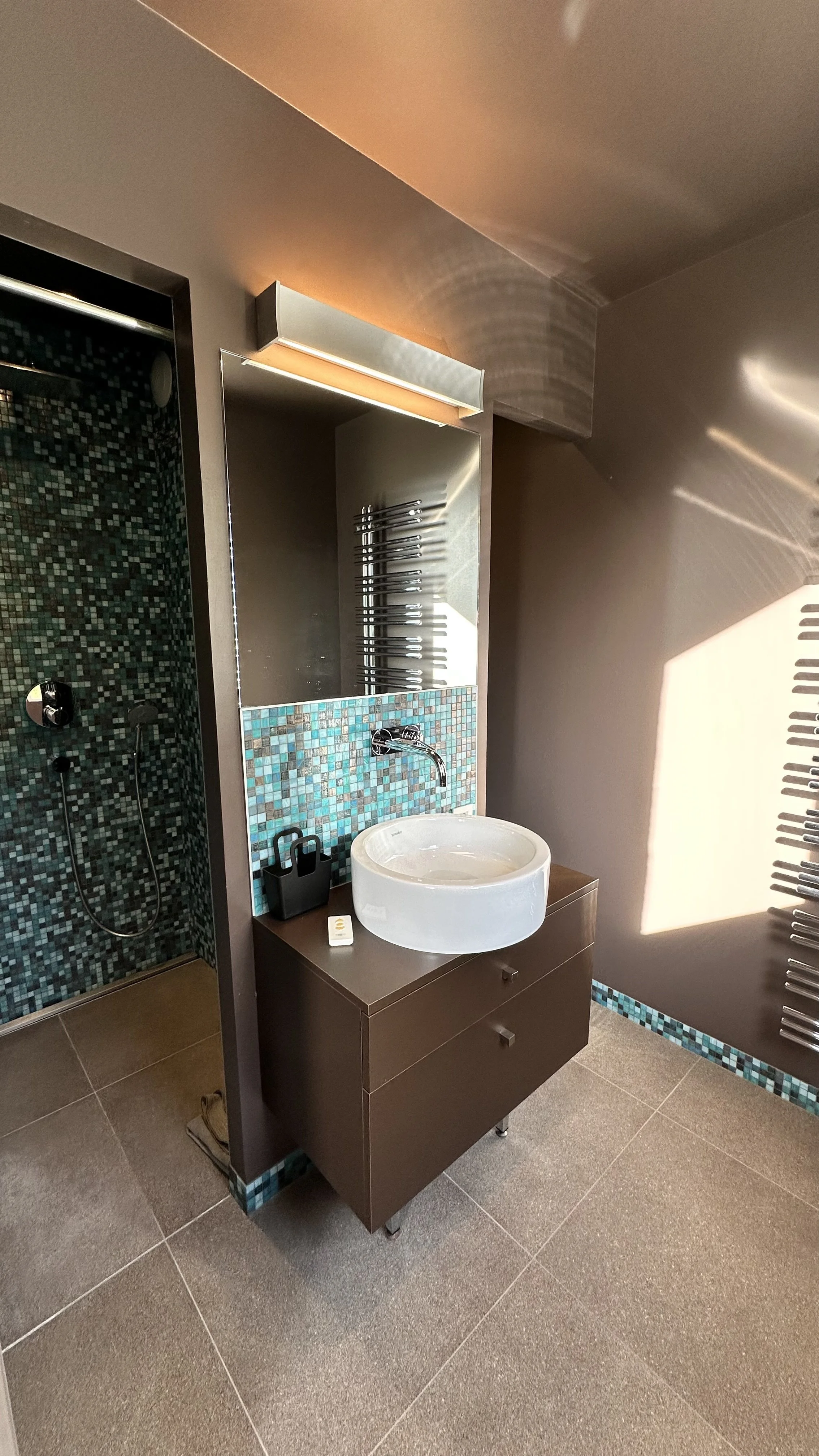 Villa-du-Mont-Veyrier_IMG_6607 2.jpeg