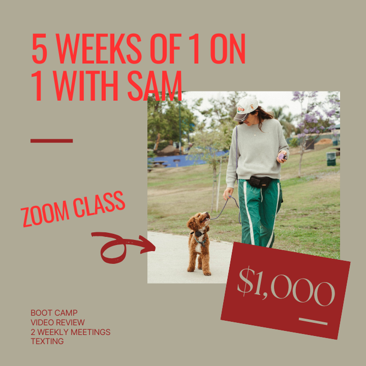 5 week 1:1 Virtual Coaching Program