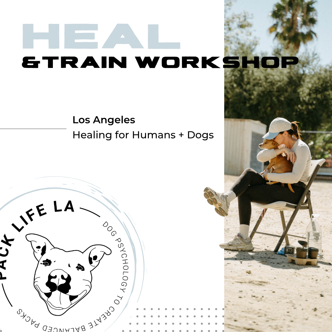 Healing & Training.png