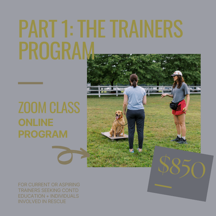 The Trainers Program (Part 1)