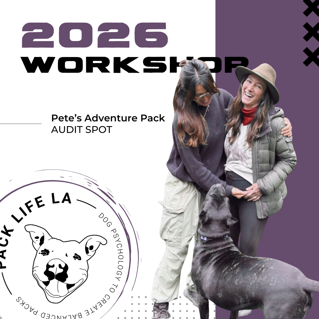 Workshop (non working) (4).png