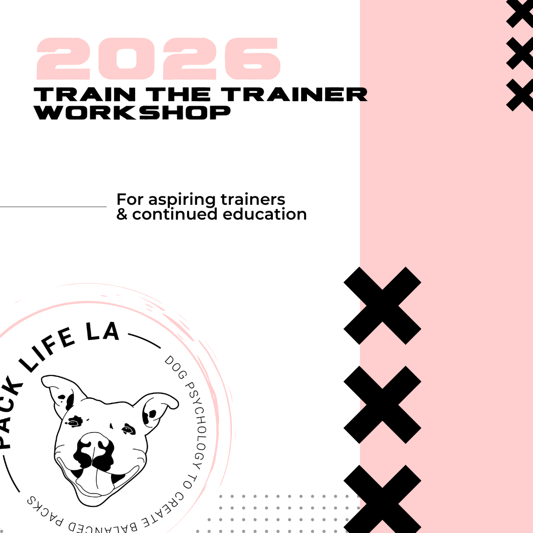 Train the trainer.png