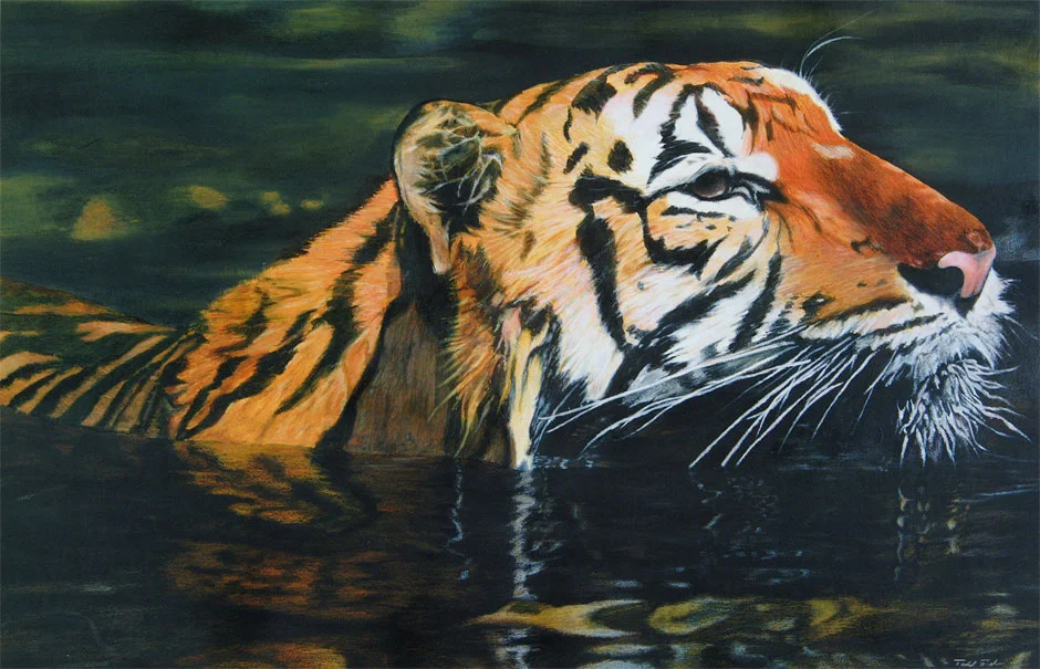 tiger.jpg