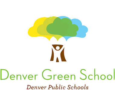 dgs_logo_5color copy.png