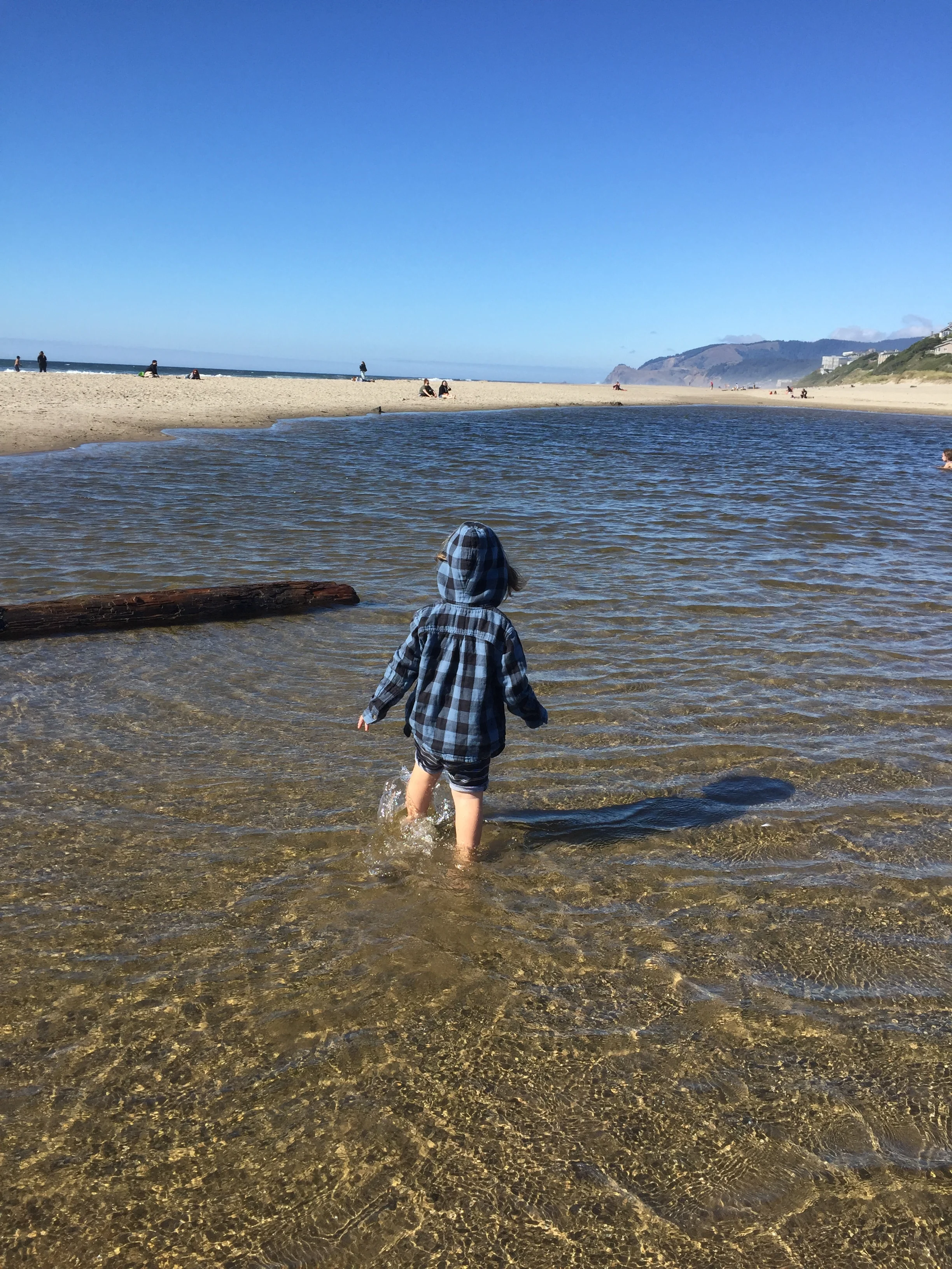 Why wander? A few goals for our year away