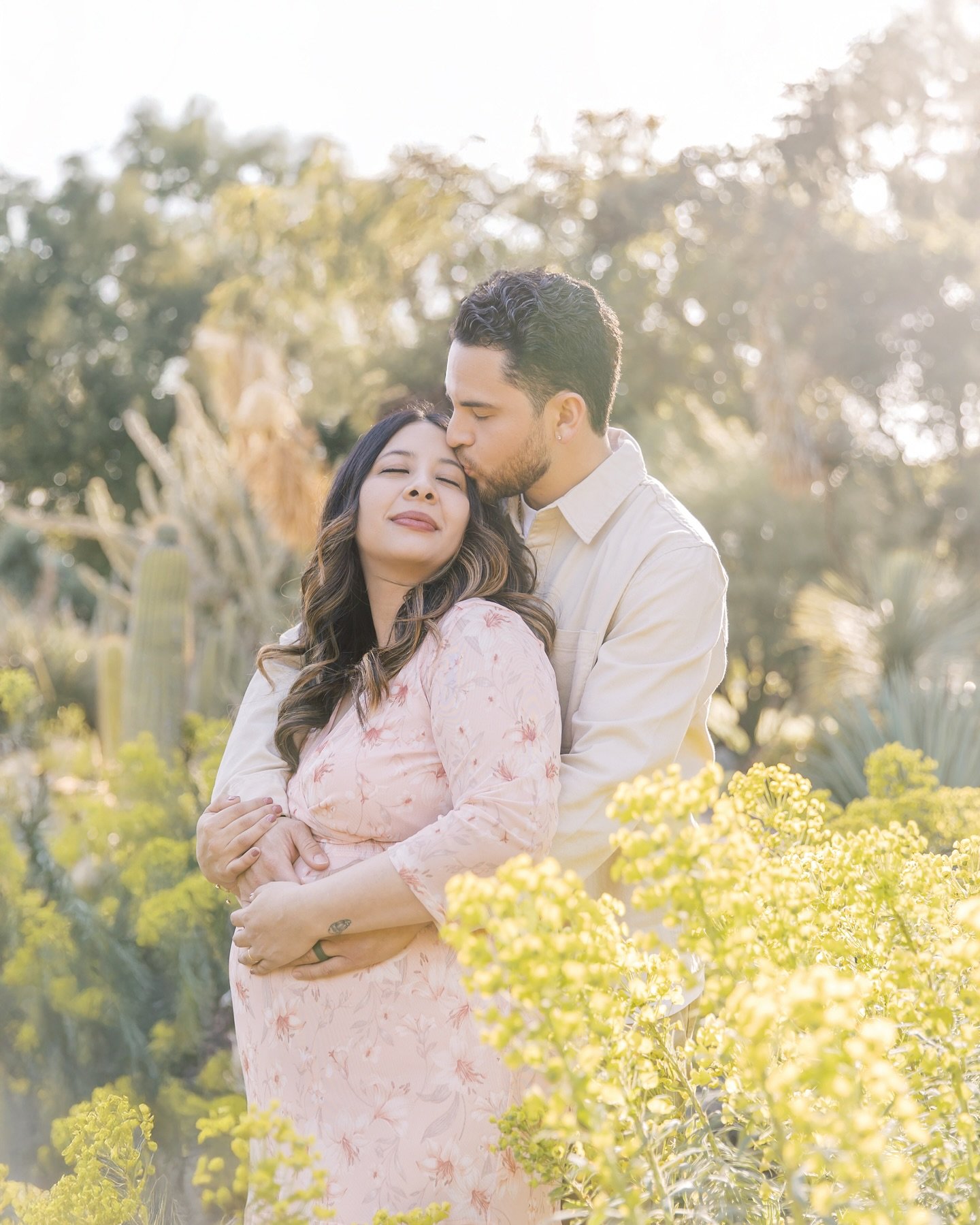Can you believe this is the same location? 

This was my first time in the cactus garden in spring, and I was amazed by the flowers and green grass everywhere.