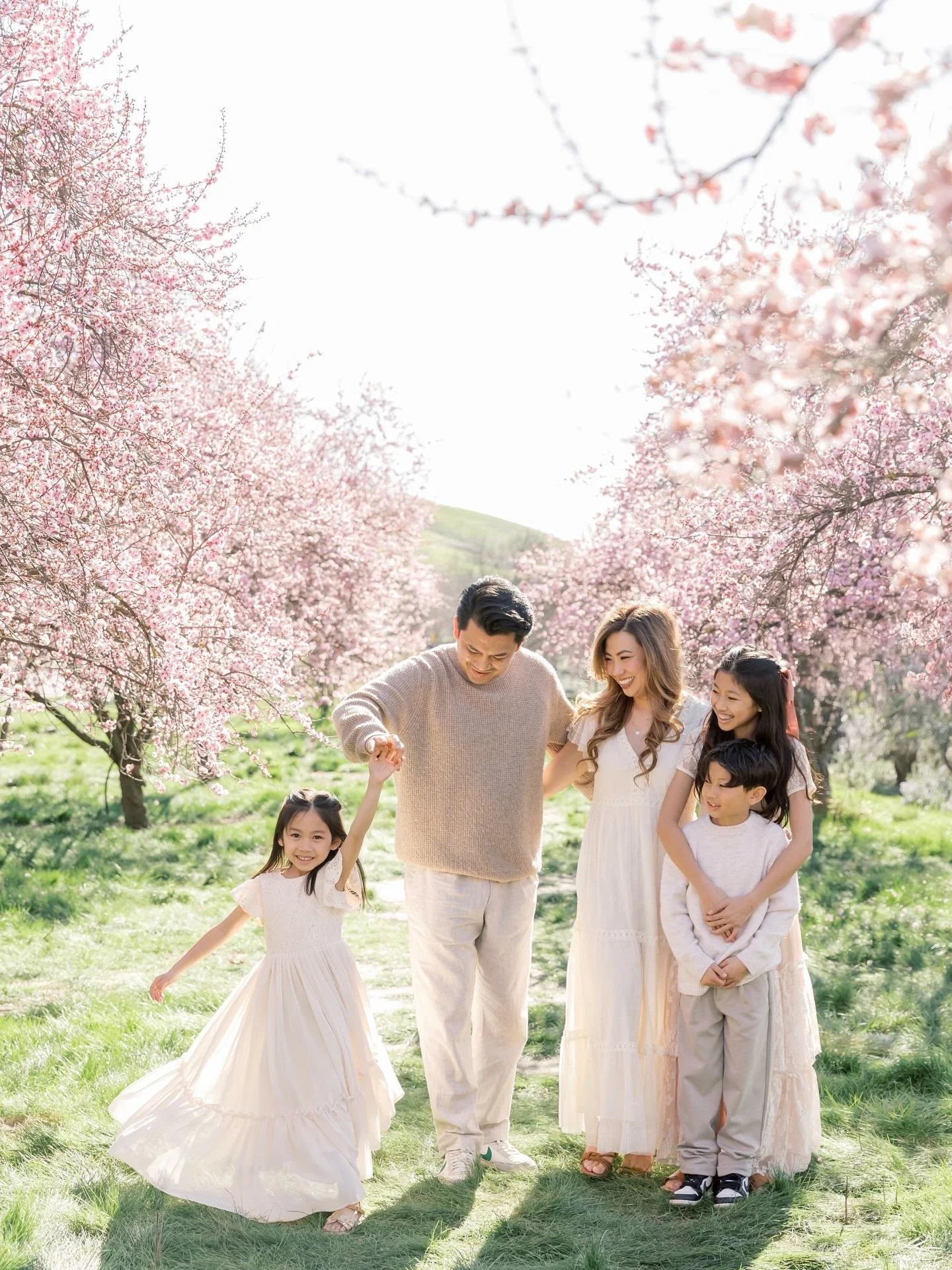 Cherry blossoms only bloom for about two weeks, depending on the weather 

Don&rsquo;t miss your chance&mdash;book a mini session or enjoy a weekday discount on a full session through the link in our story.