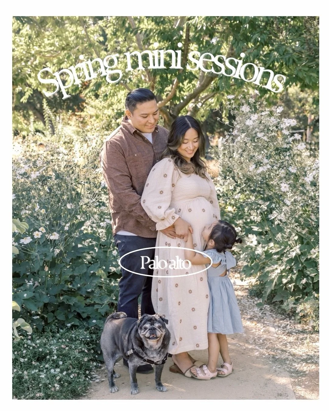 Palo Alto is the first stop in this year spring mini sessions.

This garden in the middle of the city is full of blooms and one of my most asked locations.

This is the only date available here and it&rsquo;s this Saturday, so grab the 3 spots that a