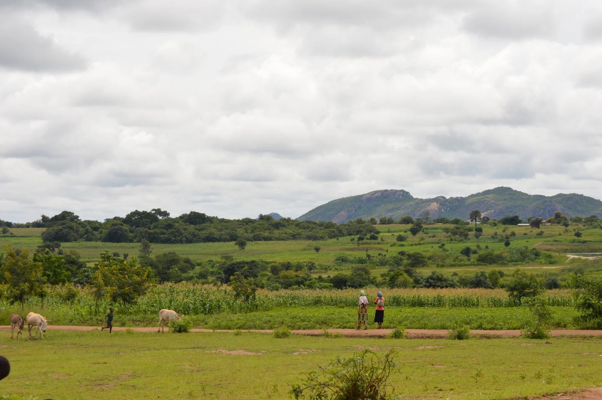 Malawi (1).jpeg