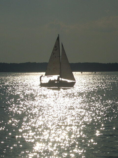 KY Lake, TN River Dover.jpg